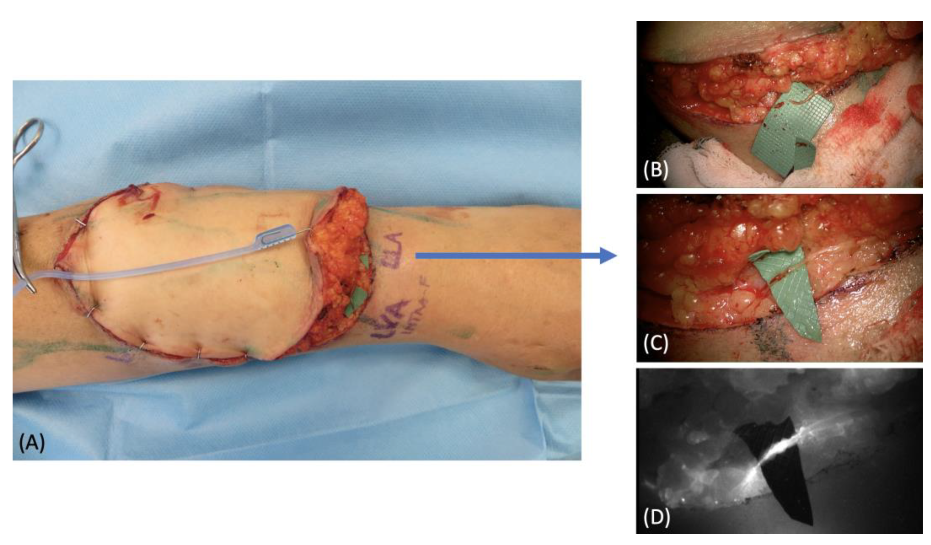 Medicina 58 00067 g005 550