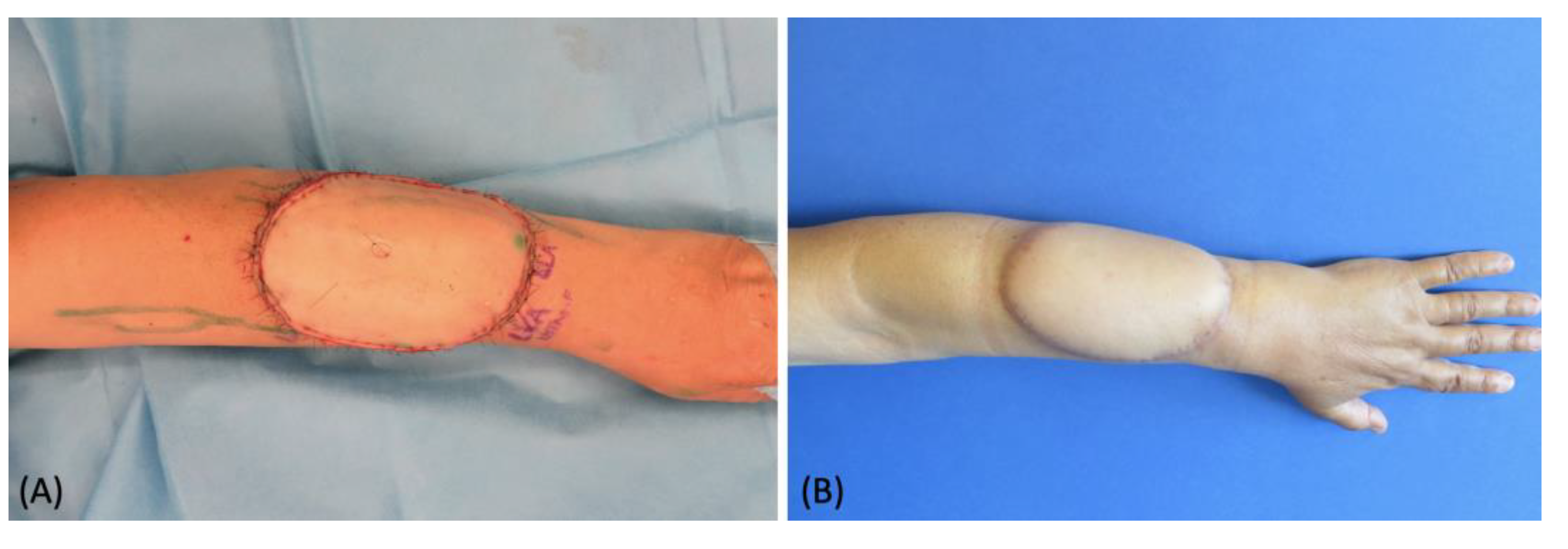 Medicina 58 00067 g006 550