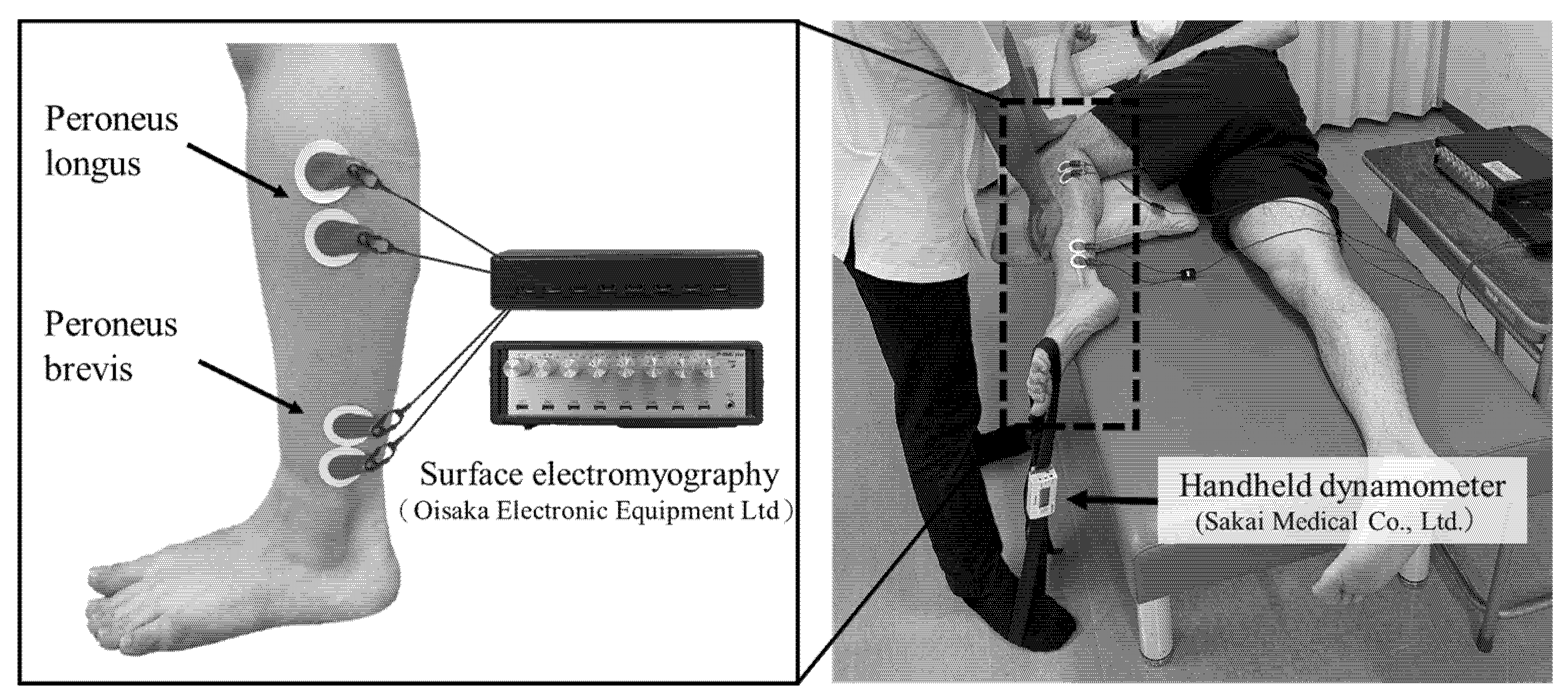 Medicina 58 00070 g003