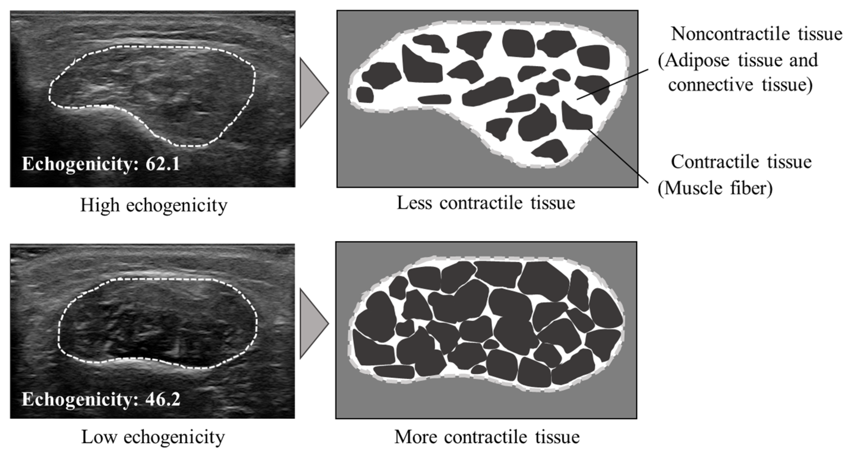 Medicina 58 00070 g004