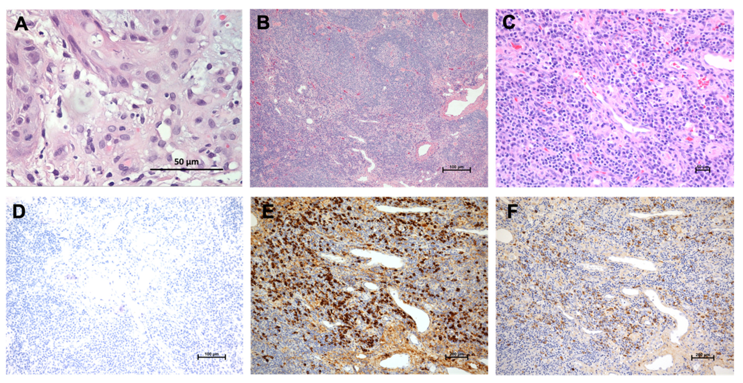 Medicina 58 00071 g002 550