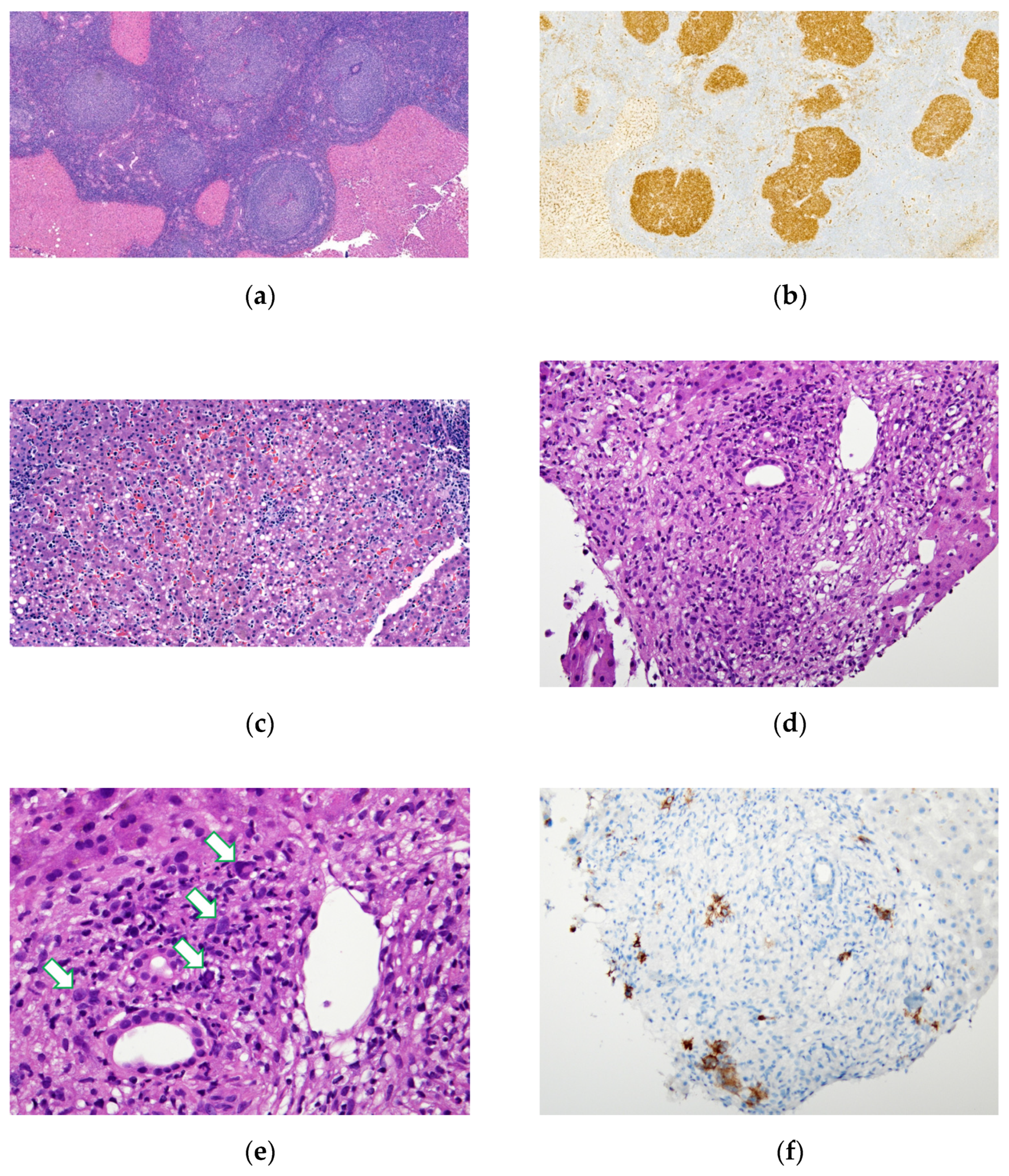 Medicina 58 00072 g002