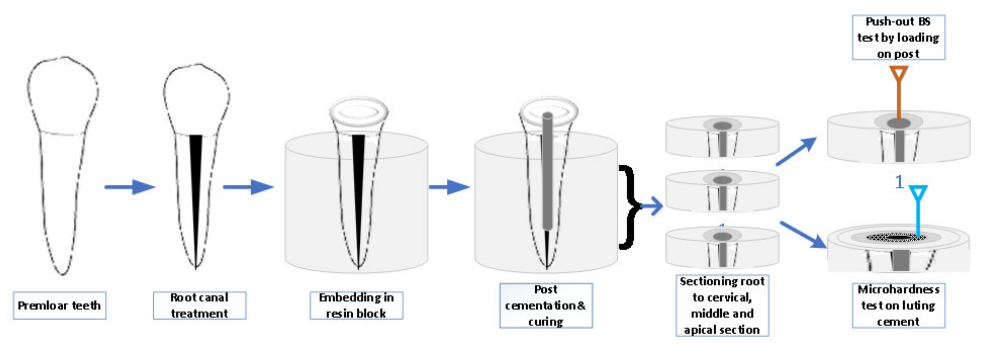 Medicina 58 00075 g002