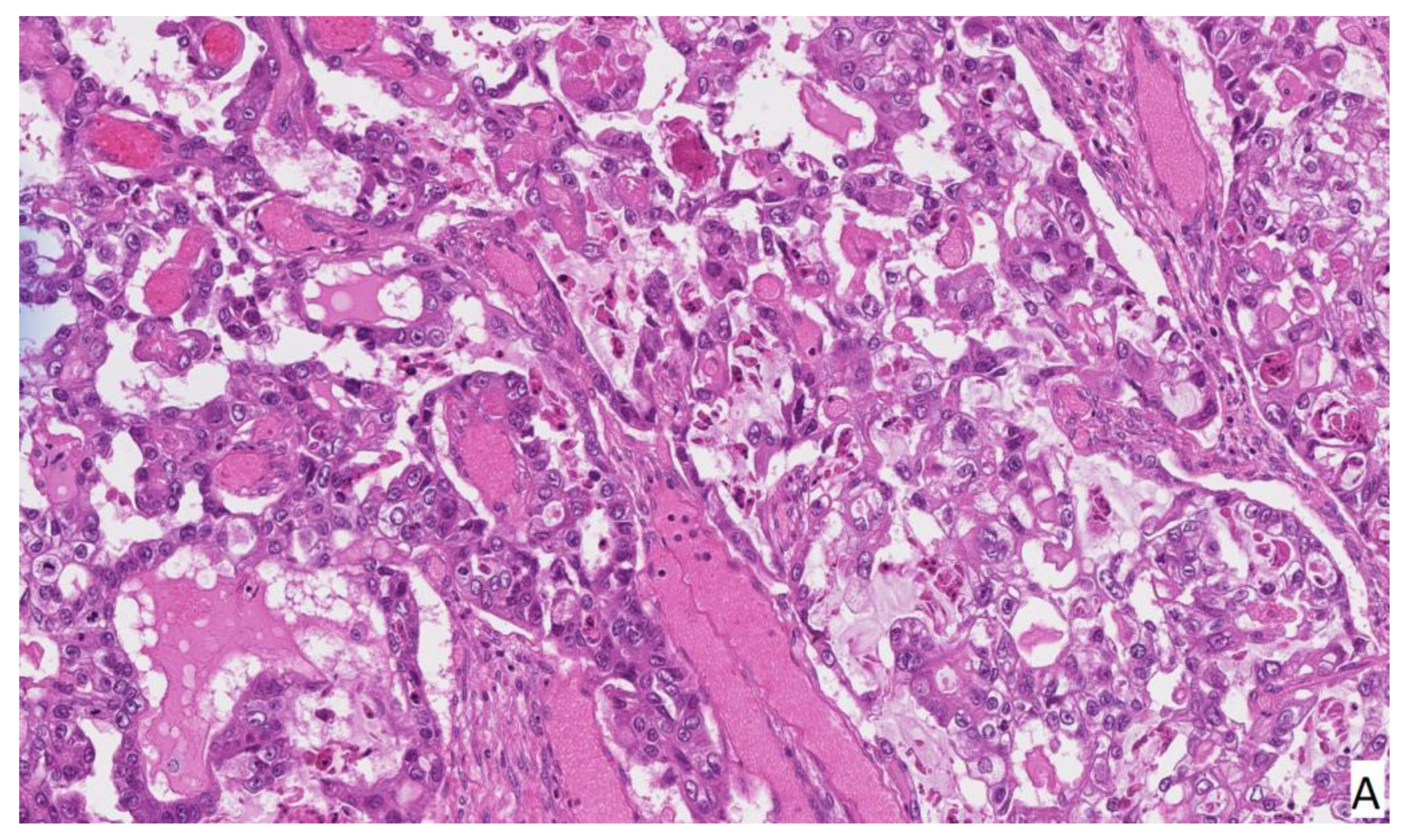 Medicina 58 00089 g003a 550