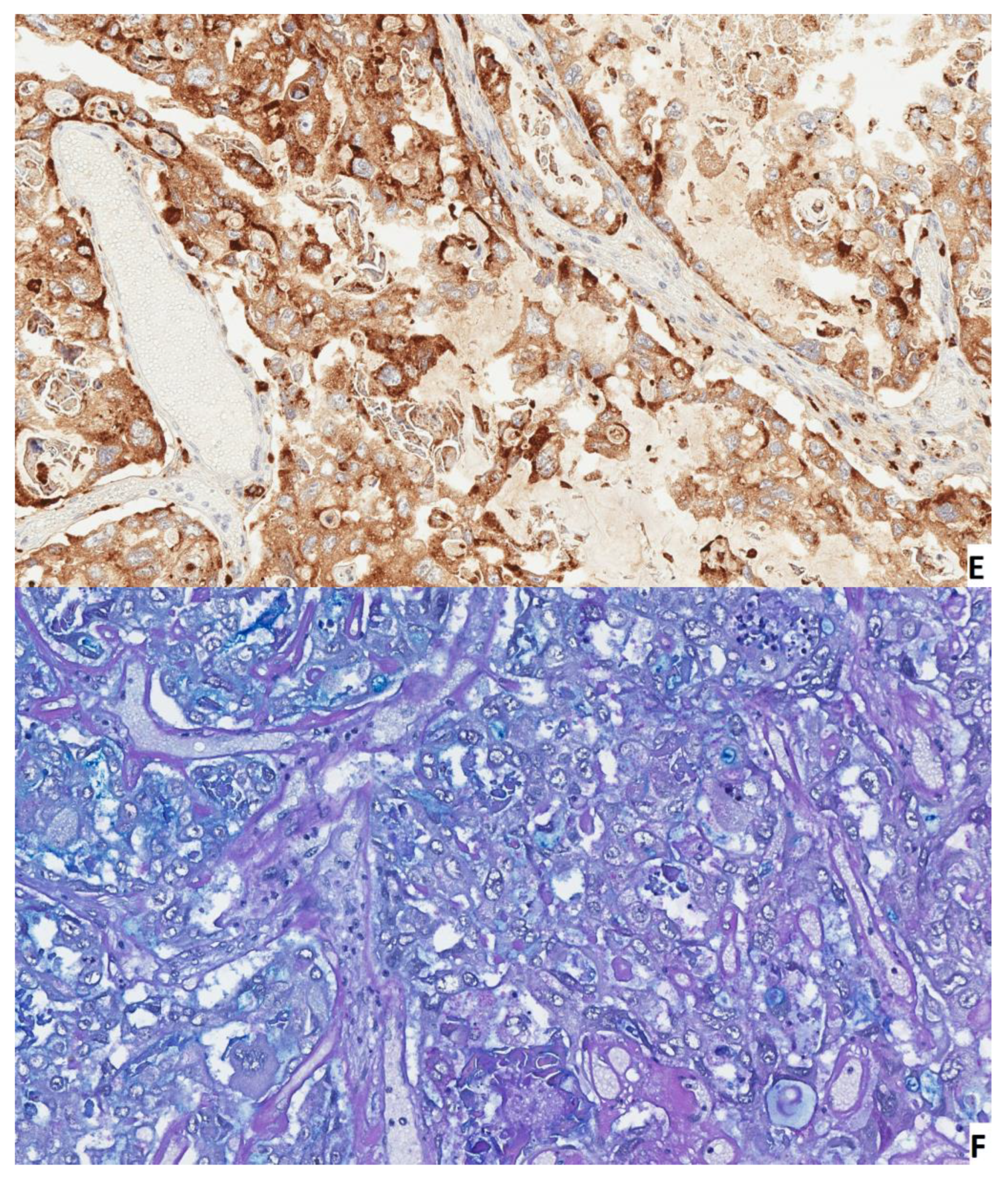 Medicina 58 00089 g003c 550