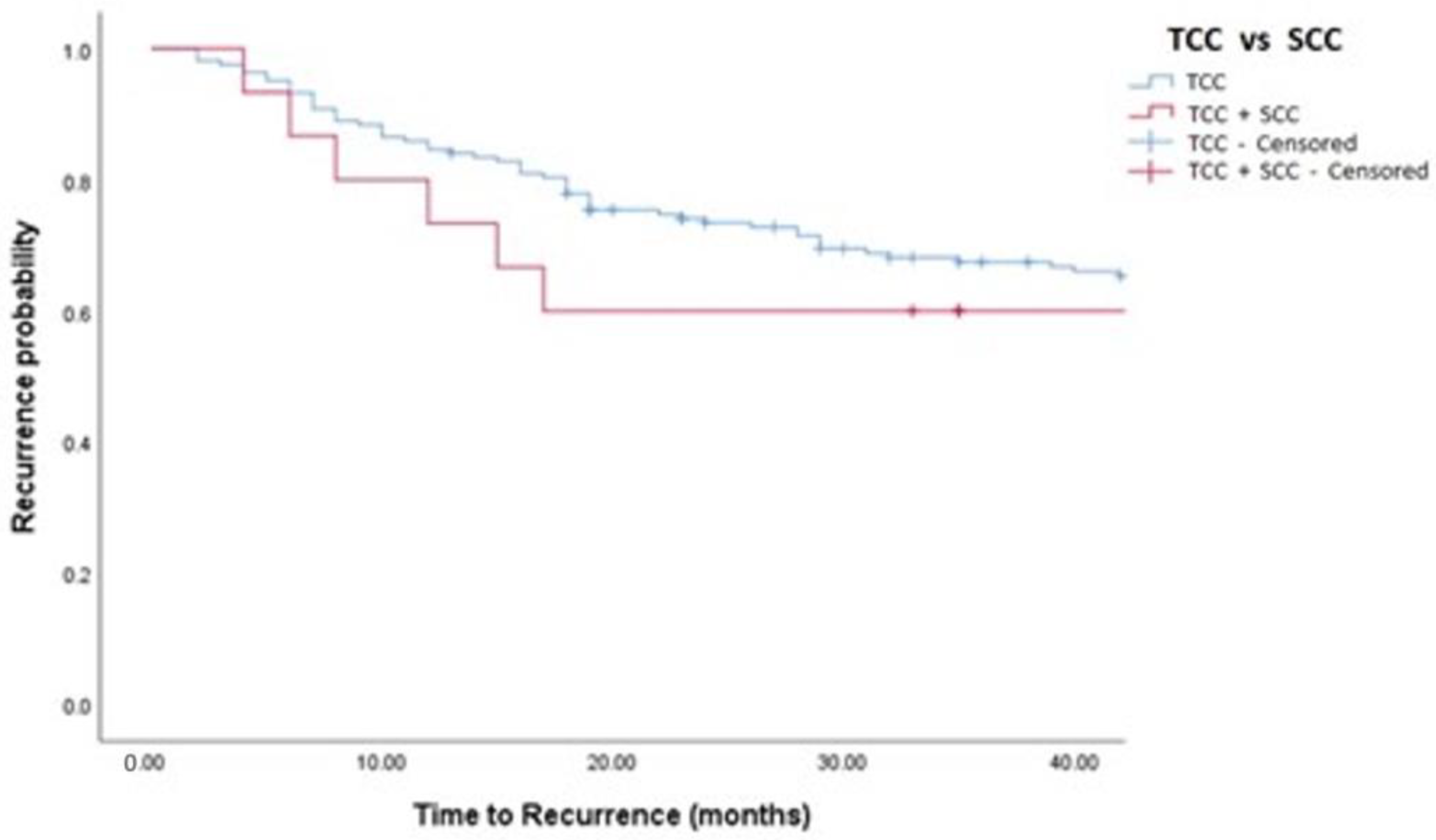 Medicina 58 00090 g001 550