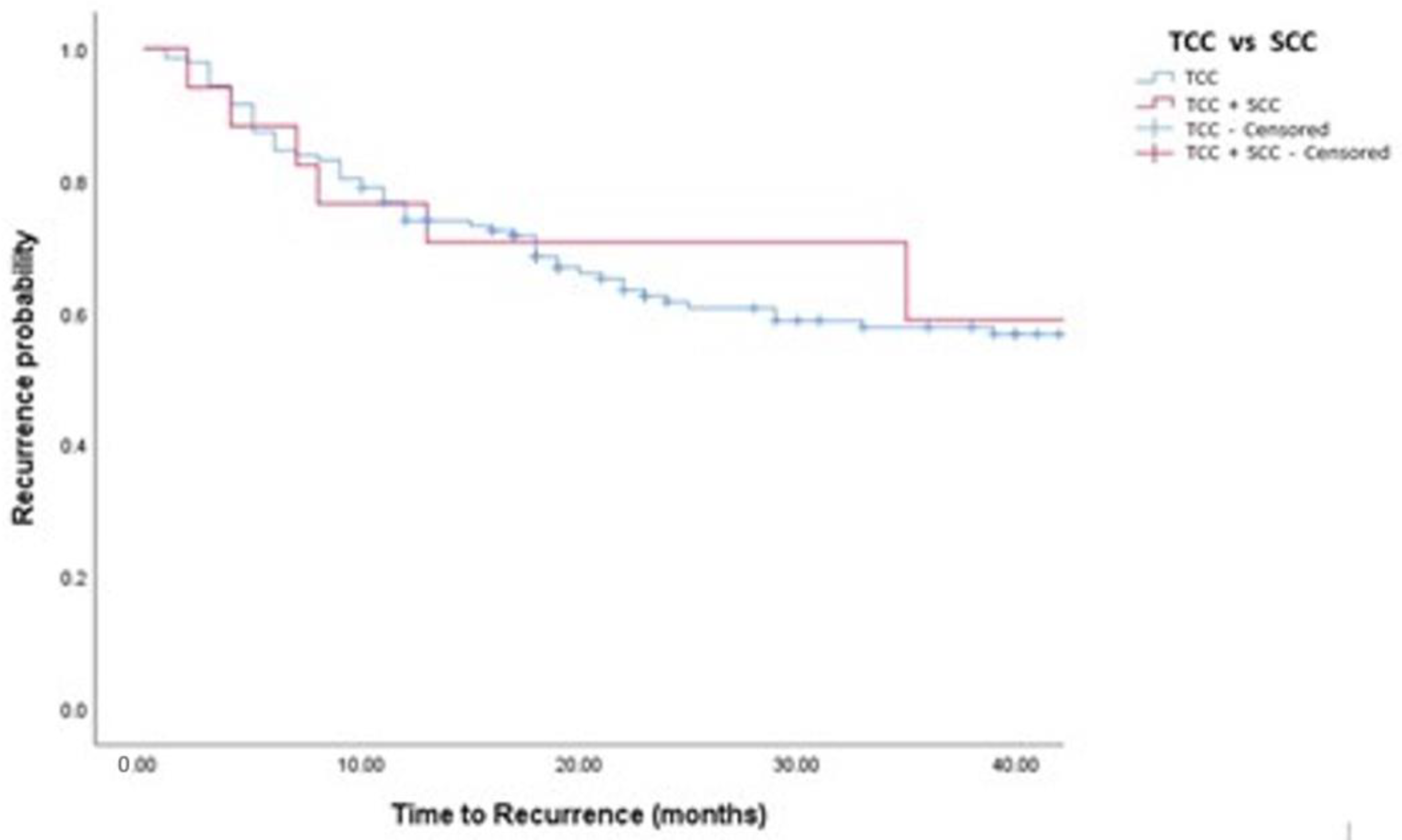 Medicina 58 00090 g002 550