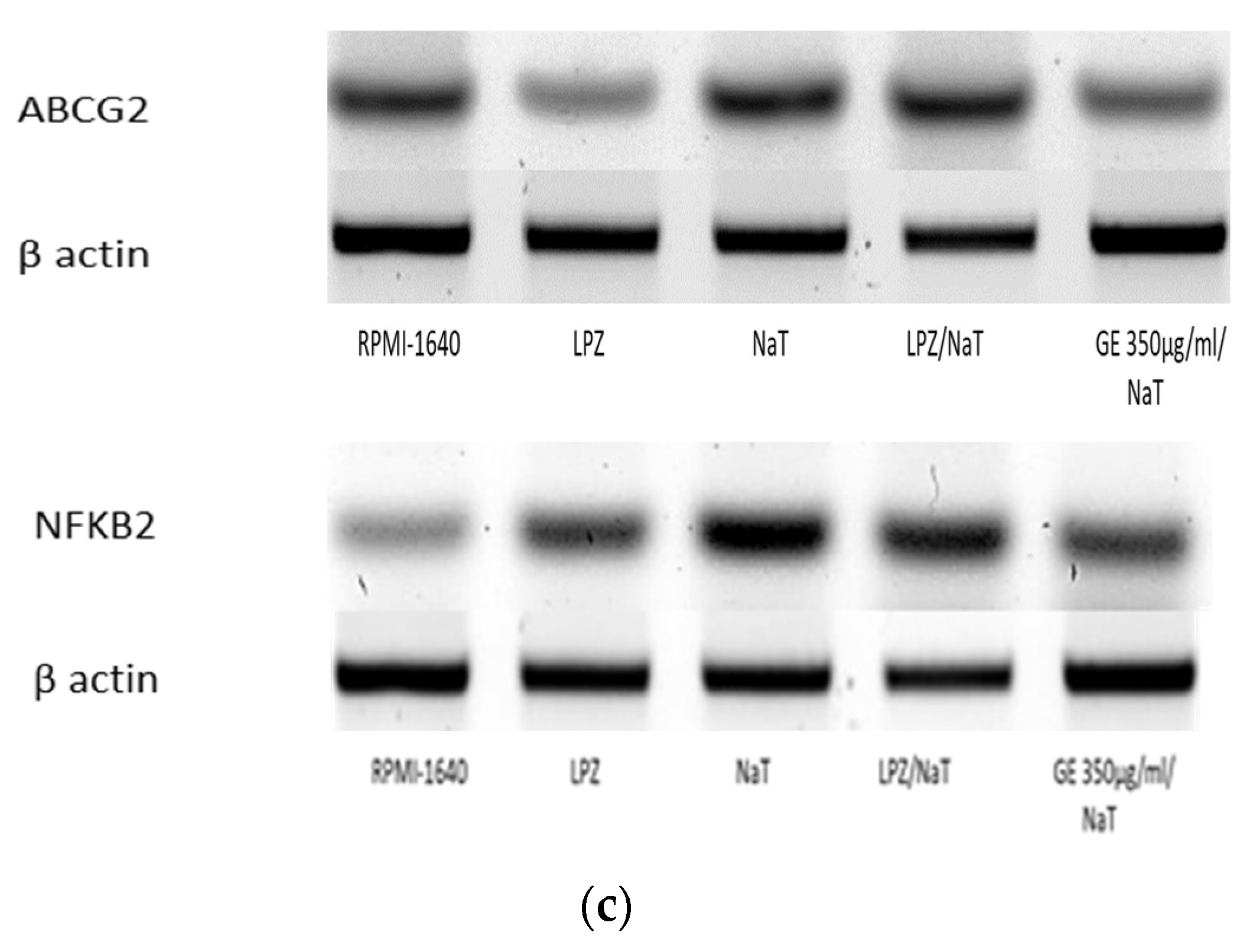 Medicina 58 00091 g006b