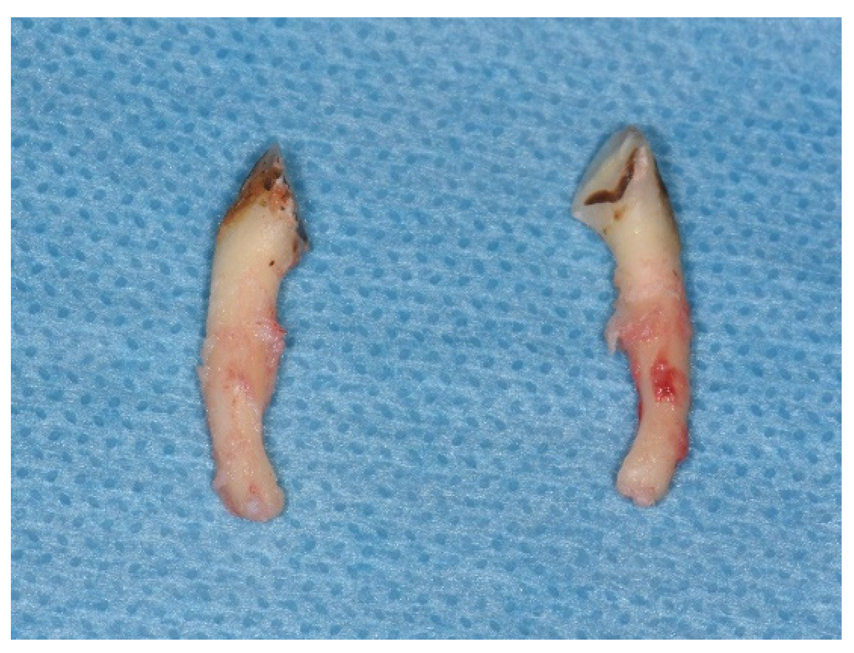 Medicina 58 00103 g001 Medicina 58 00103 g001