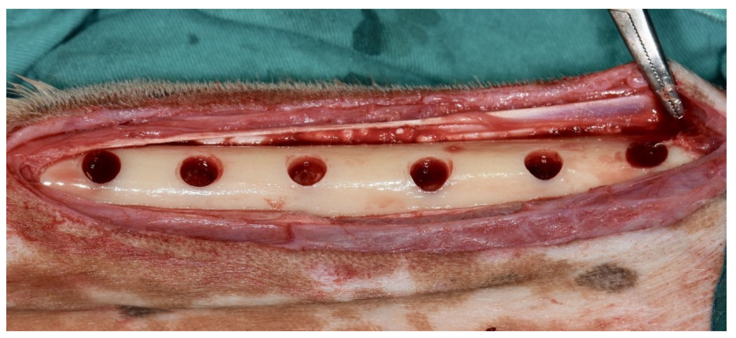 Medicina 58 00103 g002 Medicina 58 00103 g002