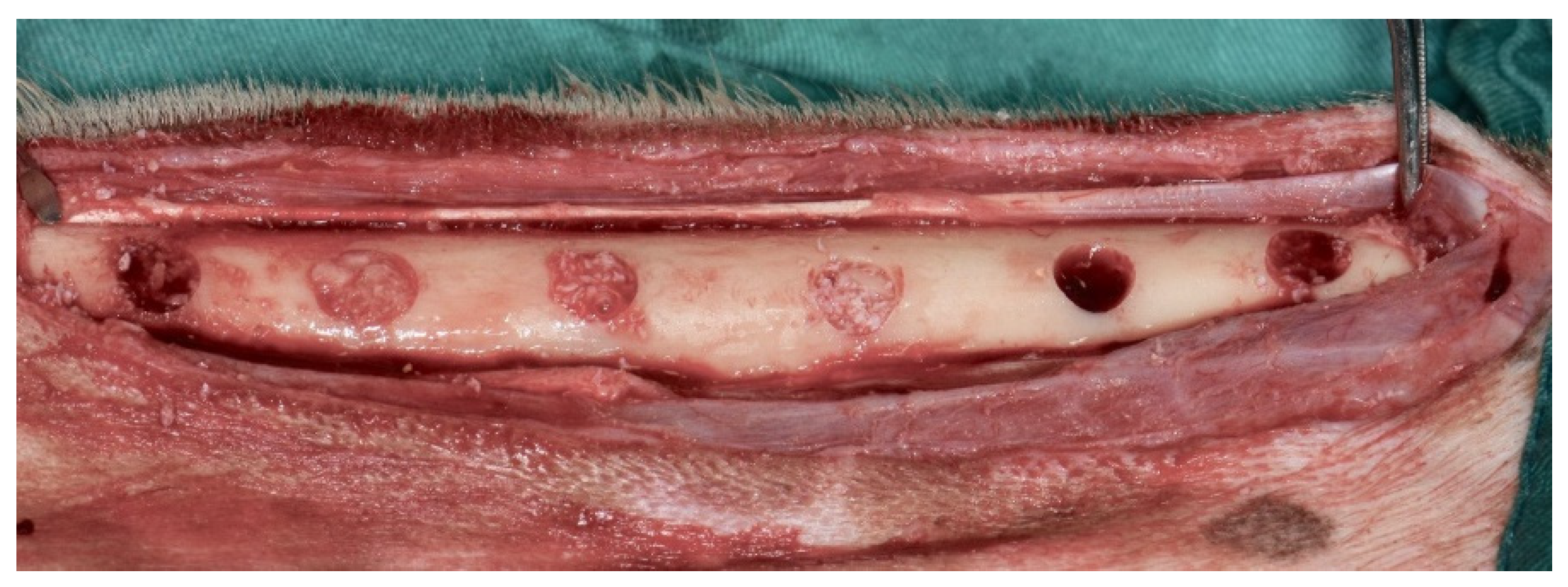 Medicina 58 00103 g003 Medicina 58 00103 g003