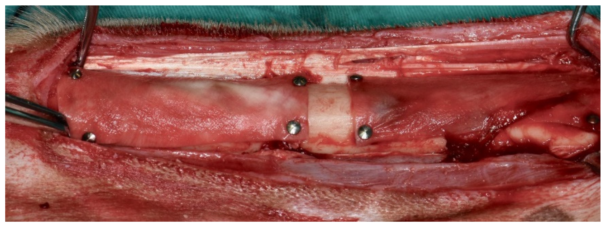 Medicina 58 00103 g004 Medicina 58 00103 g004