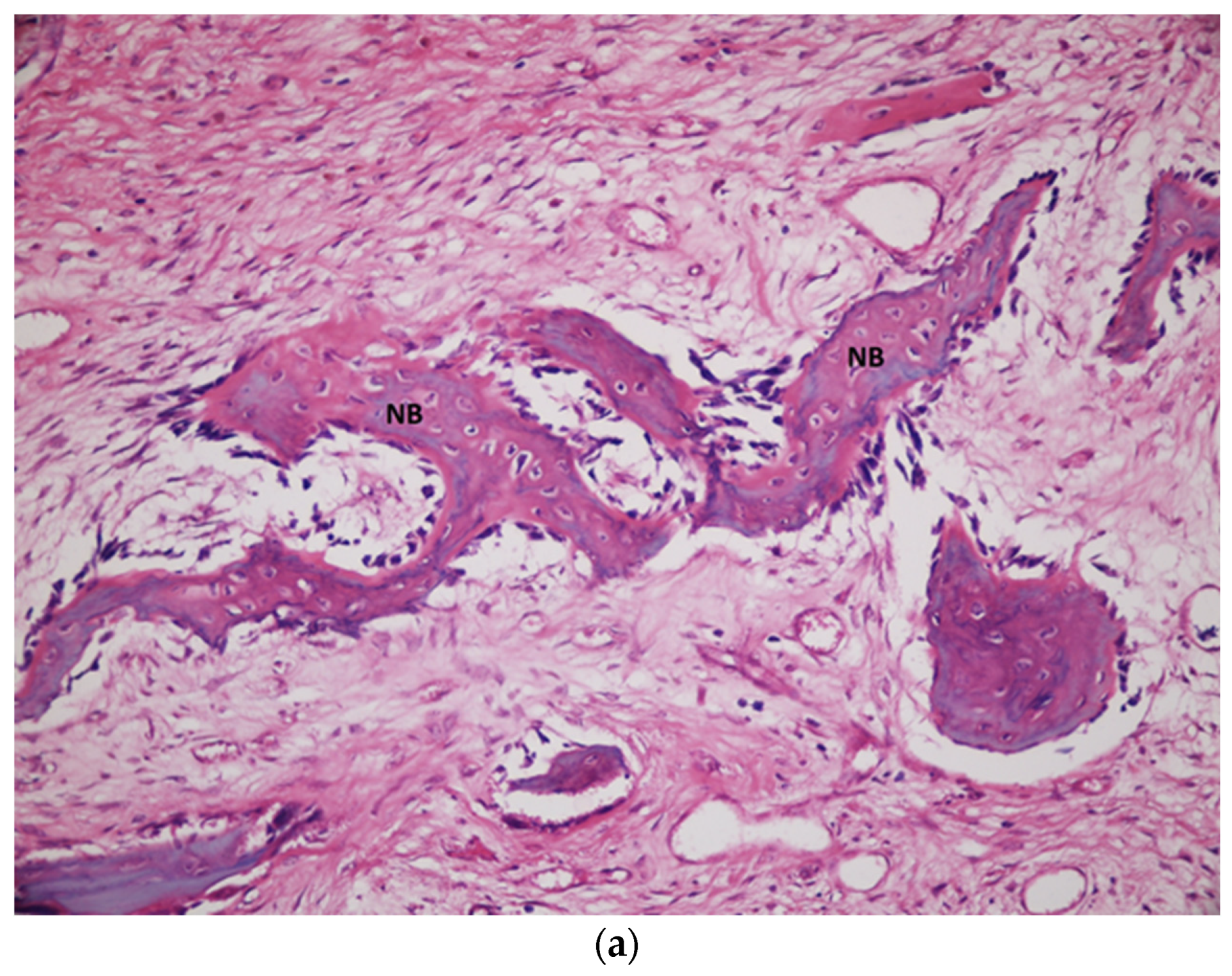 Medicina 58 00103 g008a Medicina 58 00103 g008a