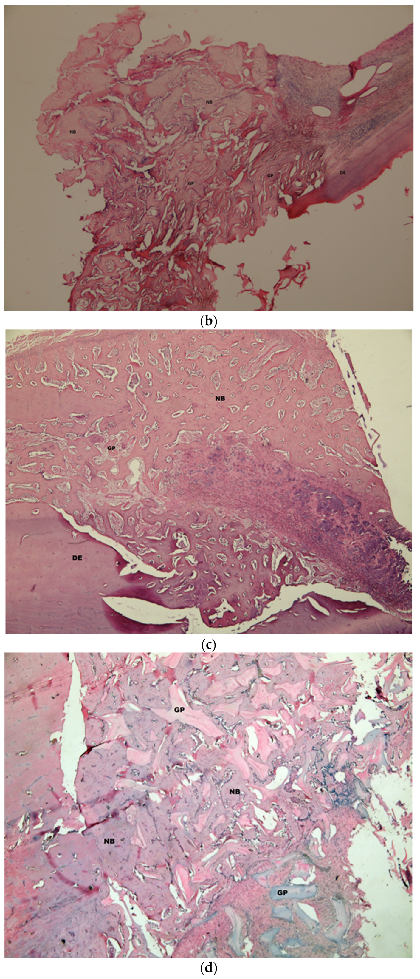 Medicina 58 00103 g008b Medicina 58 00103 g008b