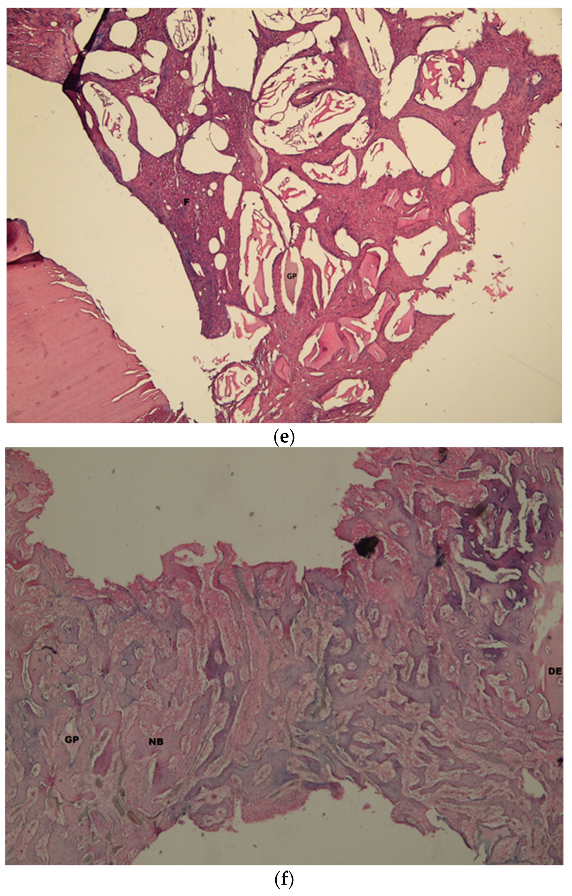 Medicina 58 00103 g008c Medicina 58 00103 g008c