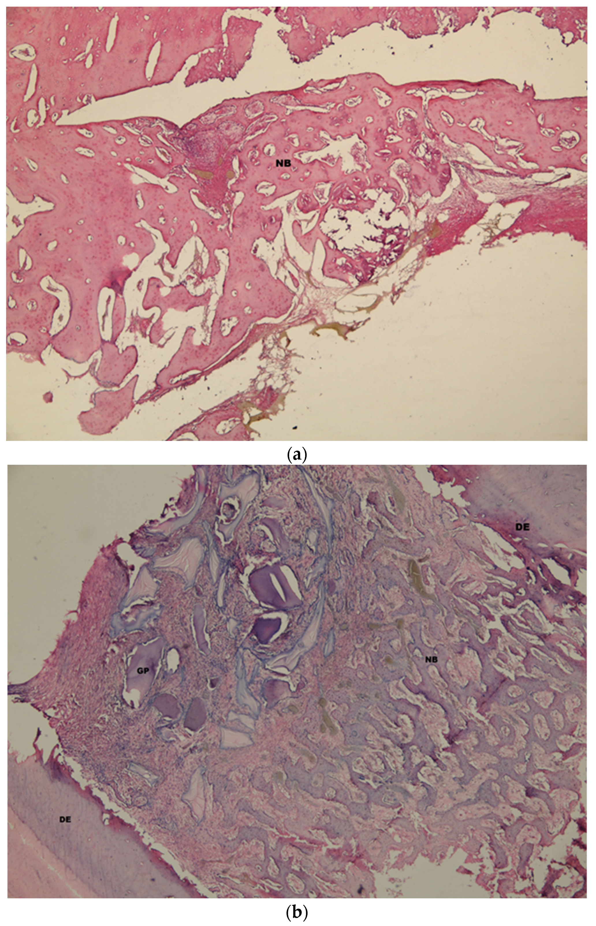Medicina 58 00103 g009a Medicina 58 00103 g009a