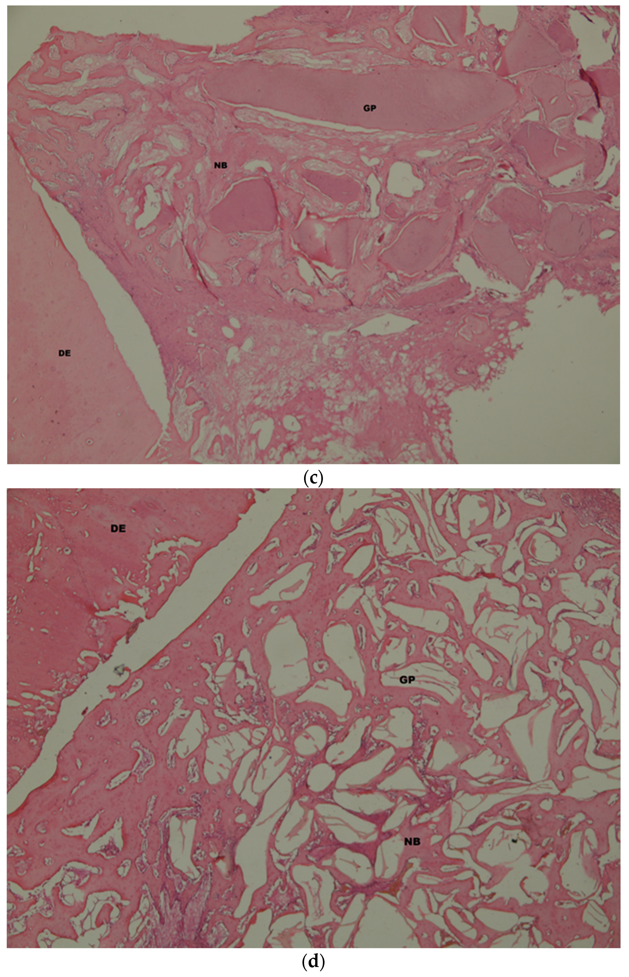 Medicina 58 00103 g009b Medicina 58 00103 g009b