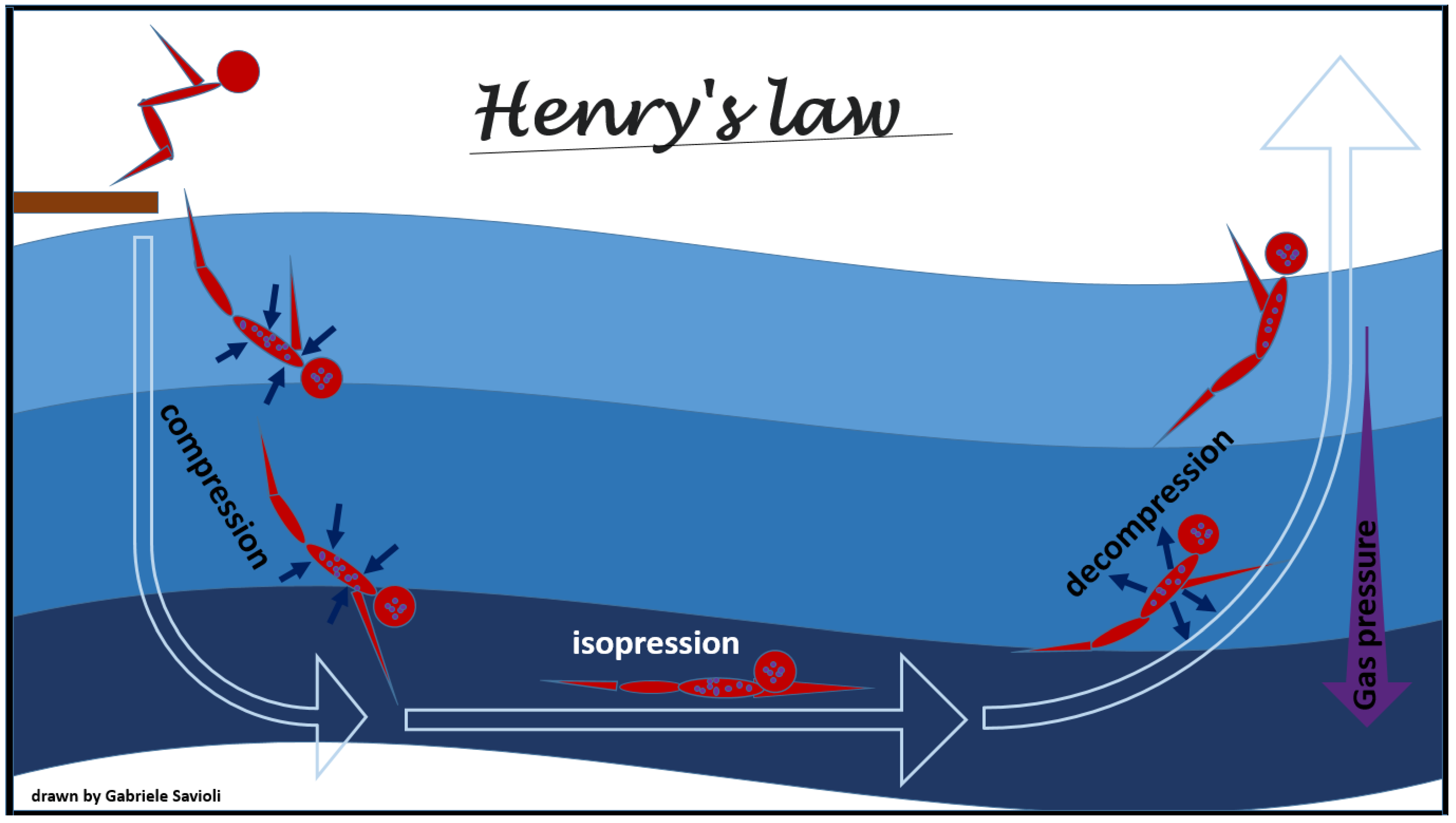 Medicina 58 00104 g001