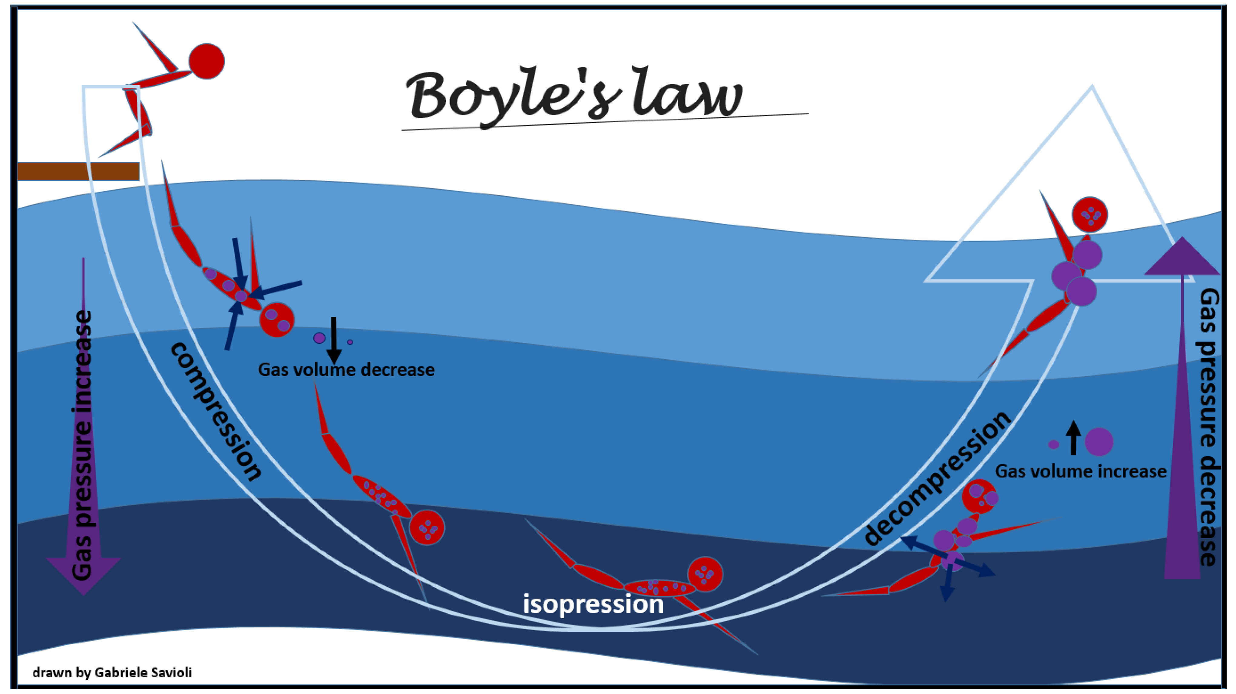 Medicina 58 00104 g003