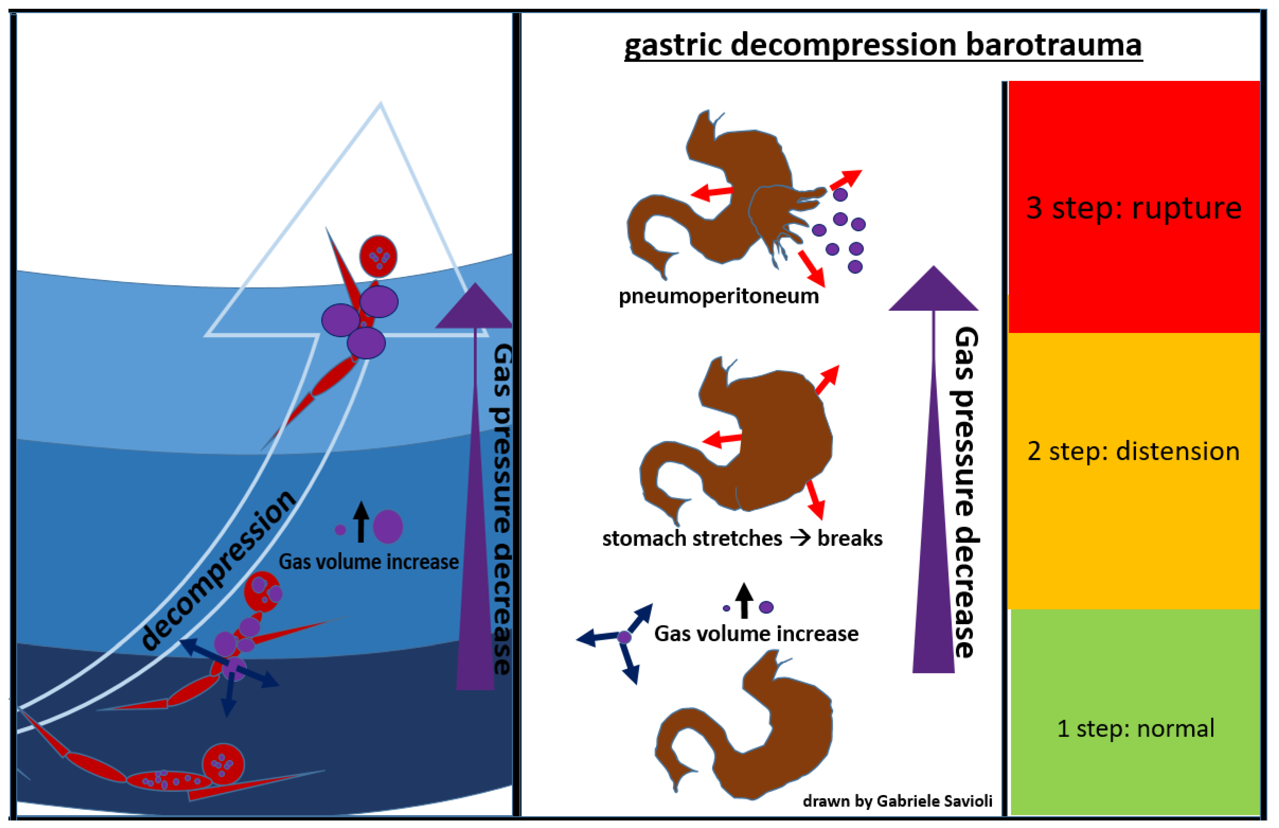Medicina 58 00104 g008