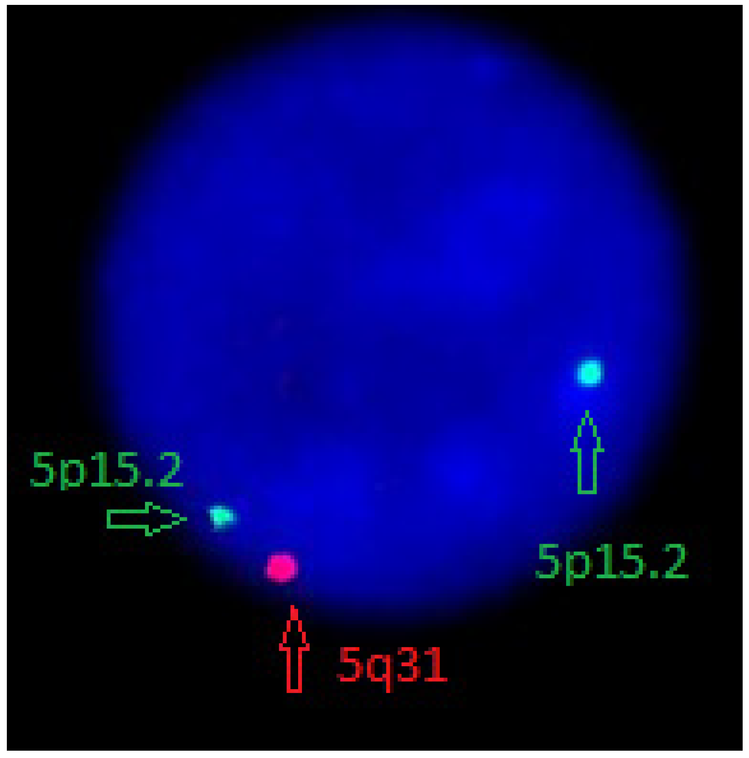 Medicina 58 00105 g001 550