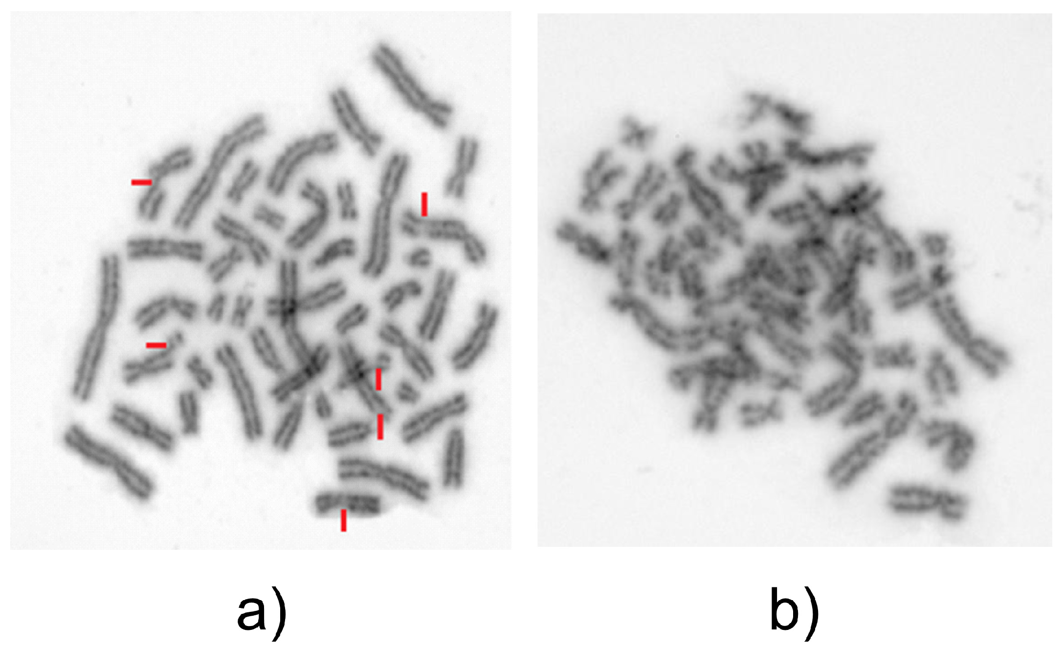 Medicina 58 00105 g003 550