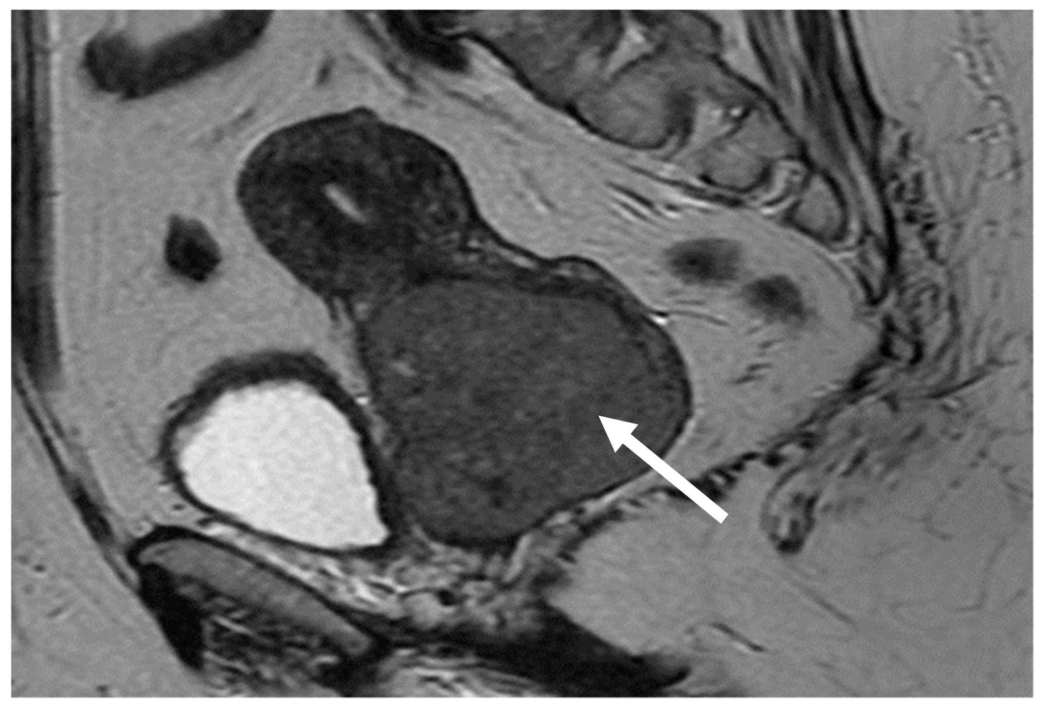 Medicina 58 00106 g001 550