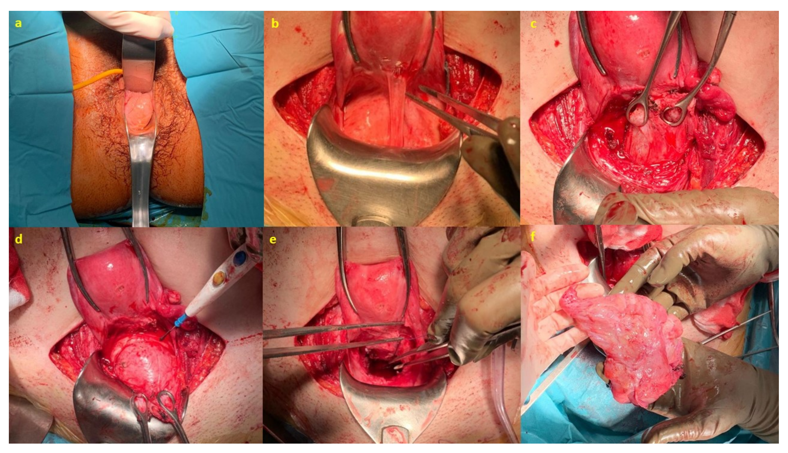 Medicina 58 00107 g006