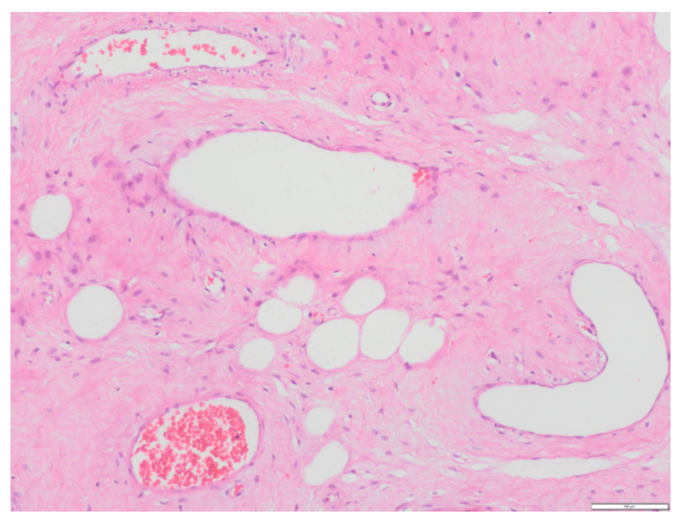 Medicina 58 00107 g007