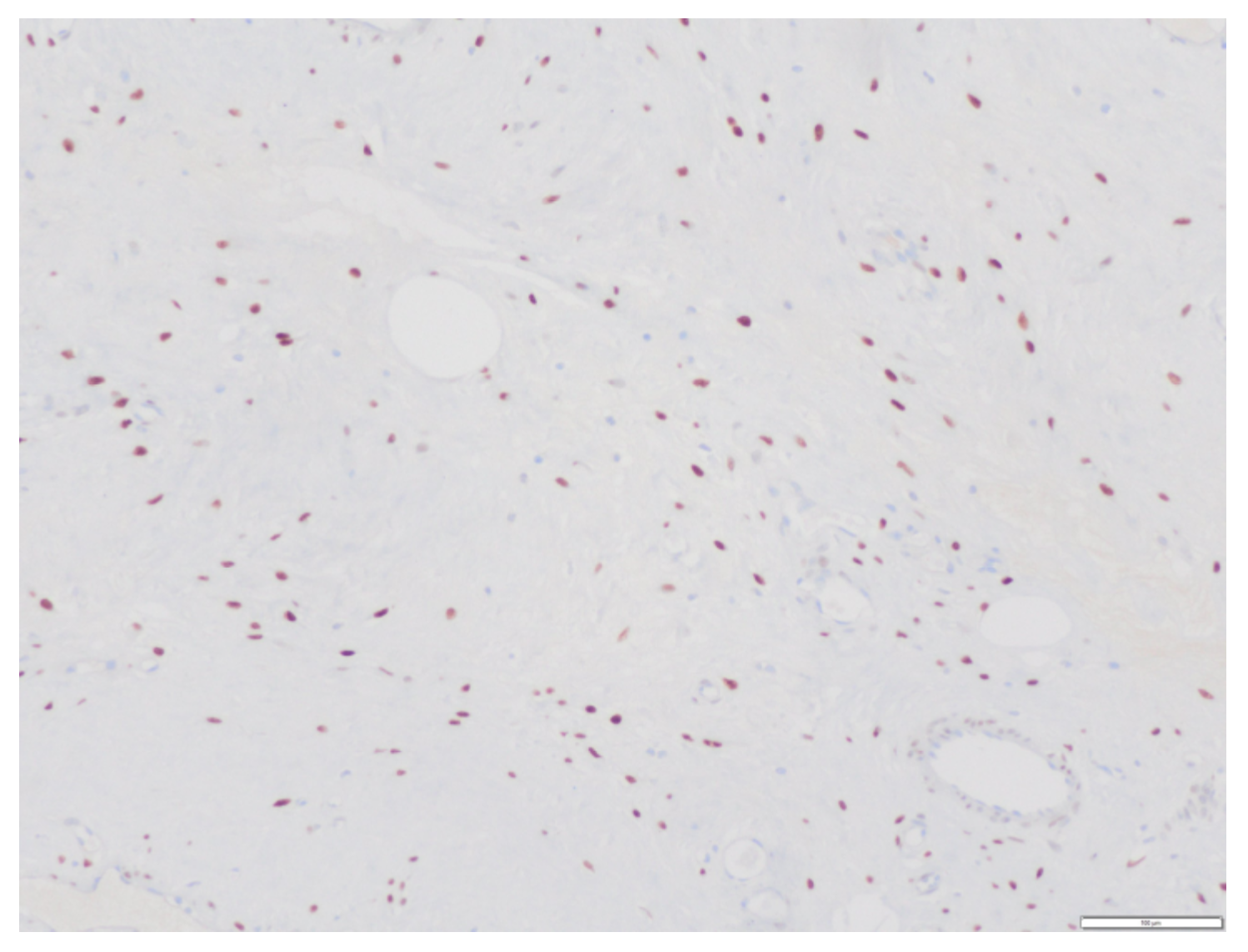 Medicina 58 00107 g008