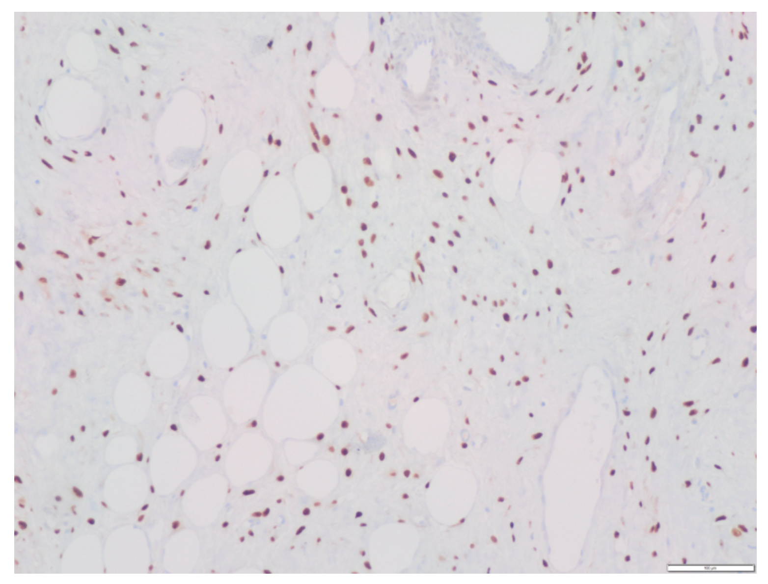 Medicina 58 00107 g009