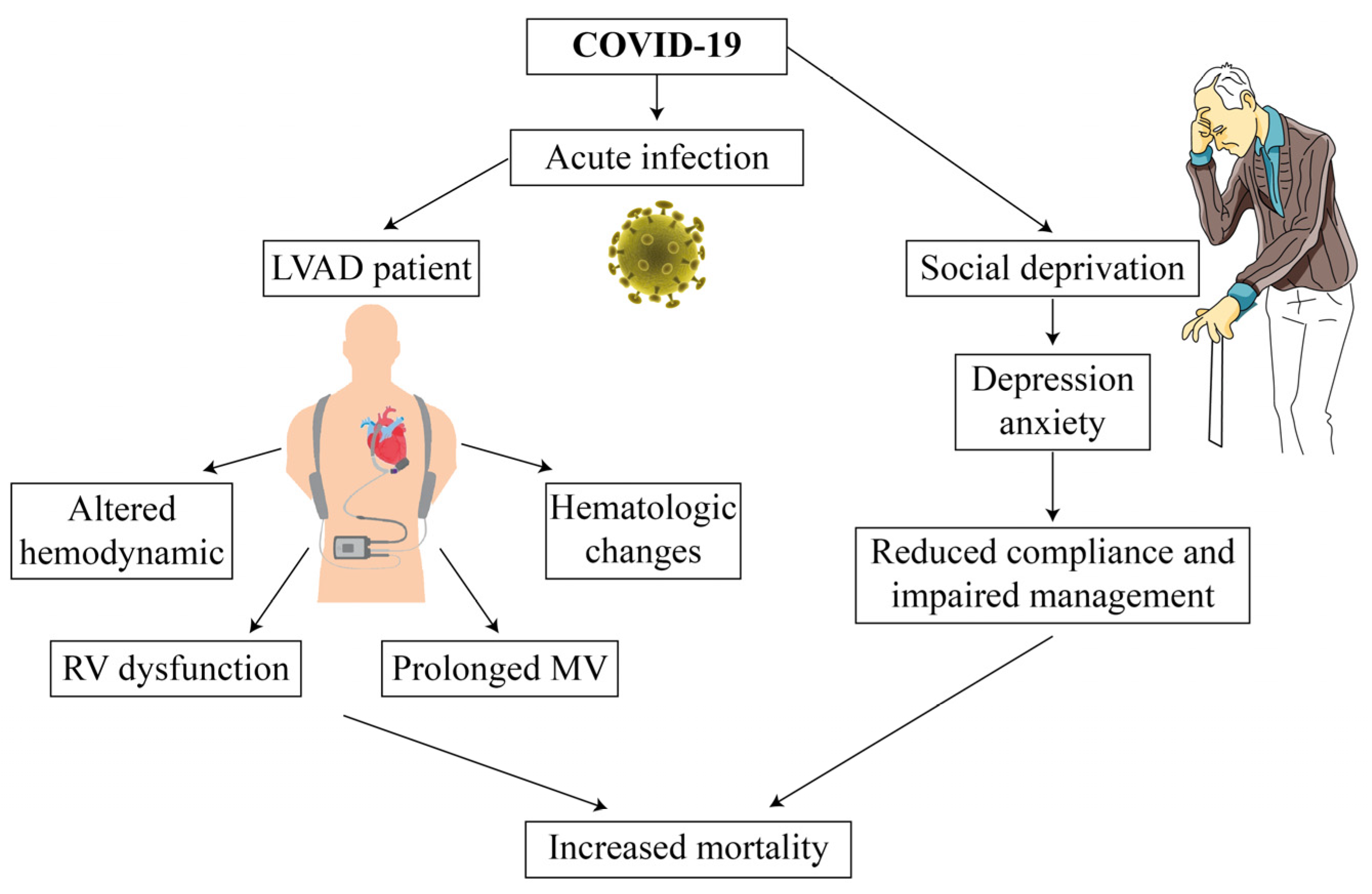 Medicina 58 00116 g001 550