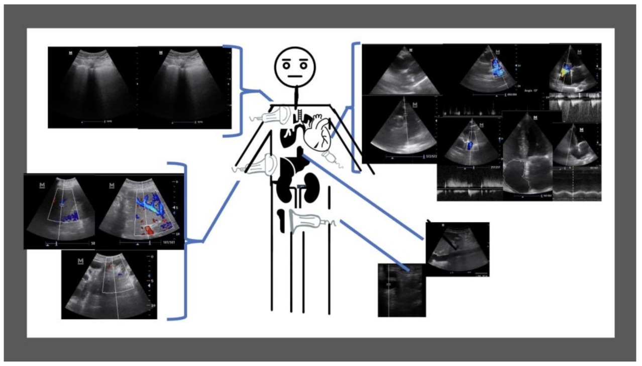 Medicina 58 00124 g002 550