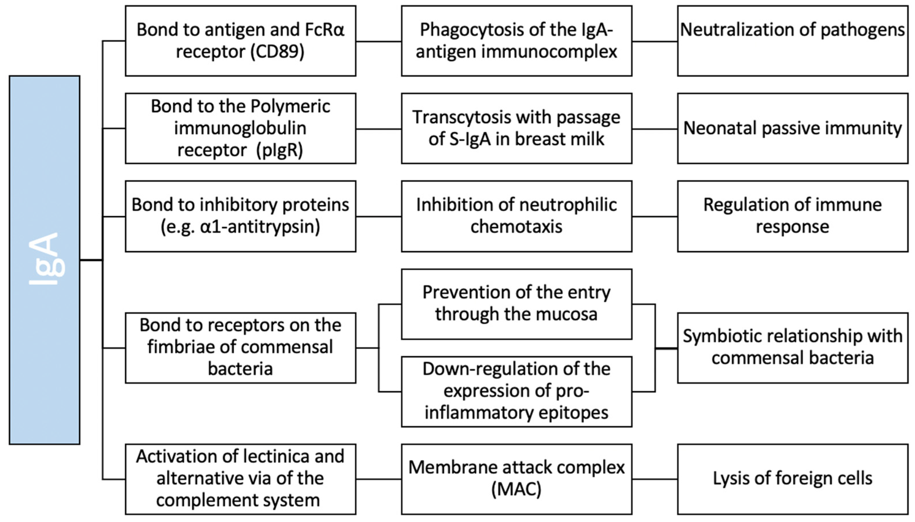 Medicina 58 00129 g001