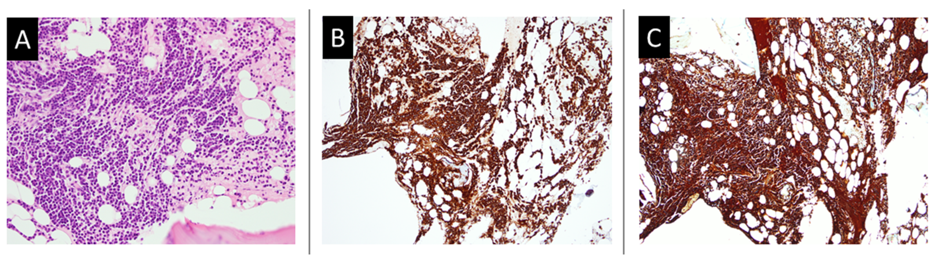 Medicina 58 00134 g004 Medicina 58 00134 g004