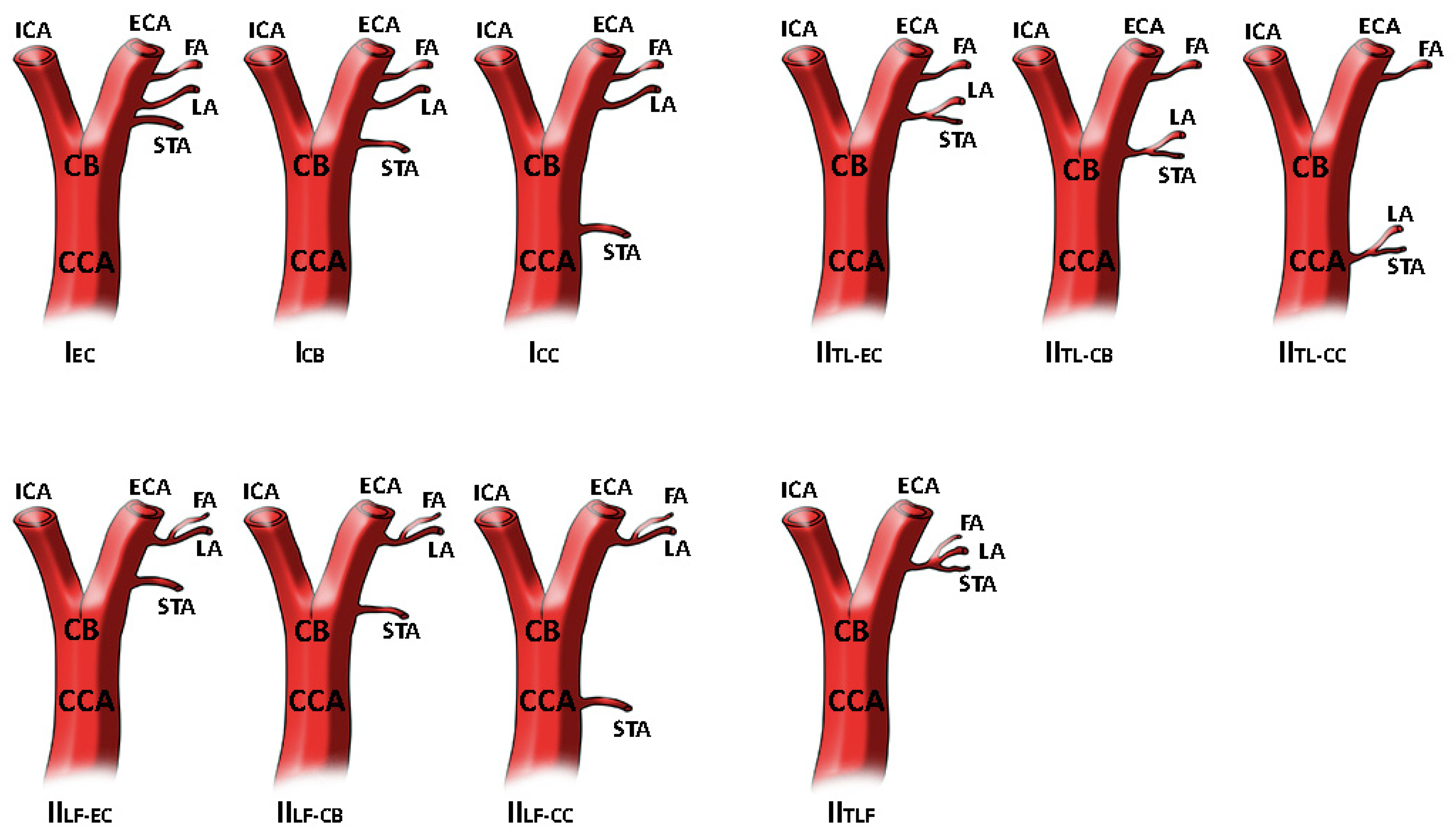 Medicina 58 00137 g001