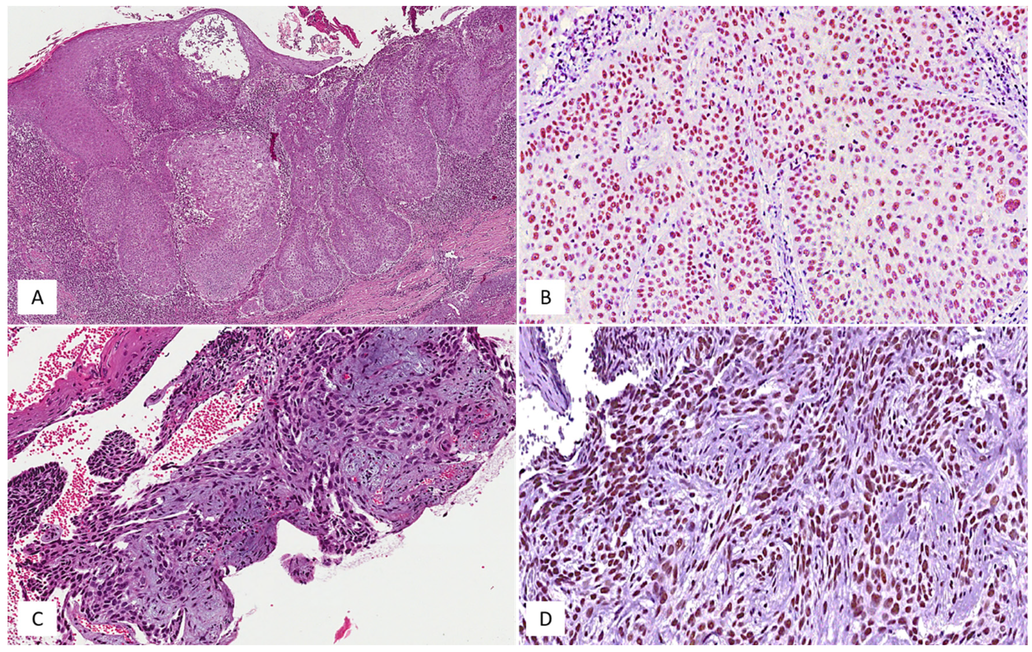 Medicina 58 00139 g002