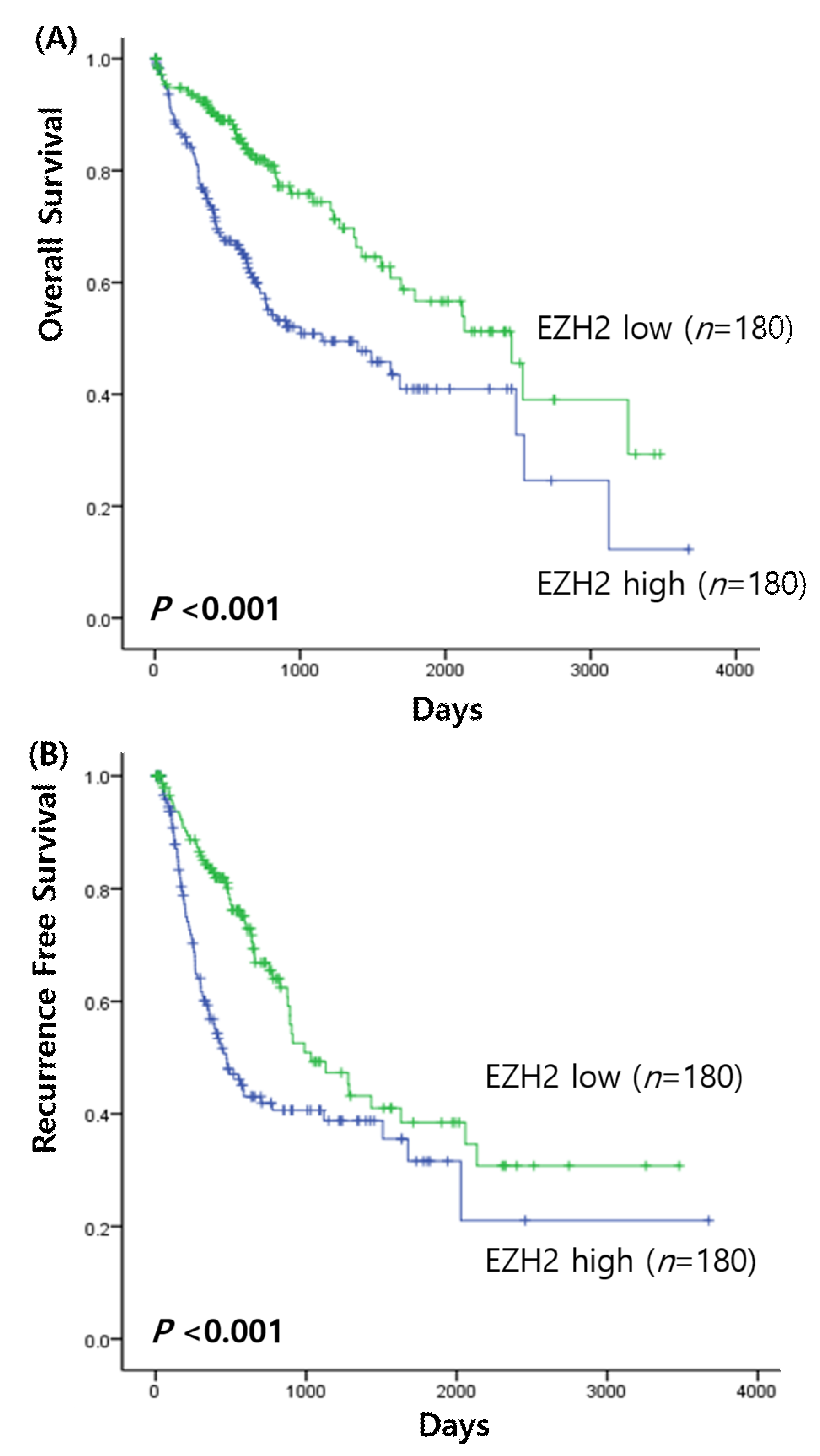 Medicina 58 00155 g001 550