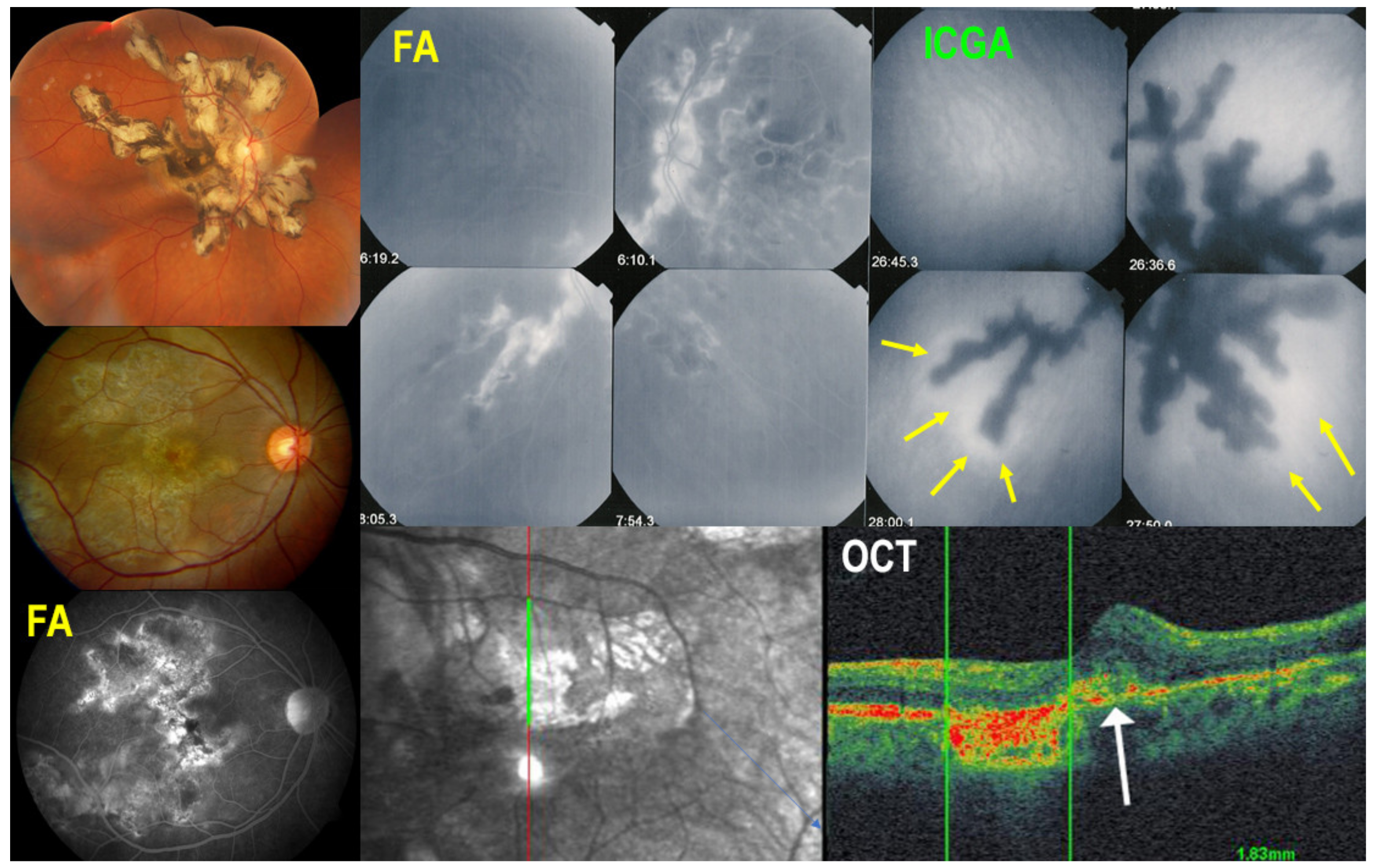 Medicina 58 00165 g004 550