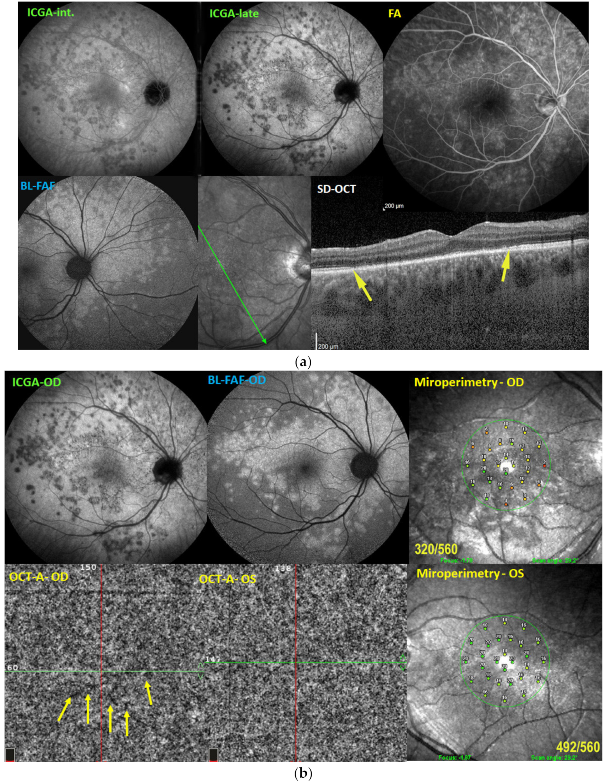 Medicina 58 00165 g008 550