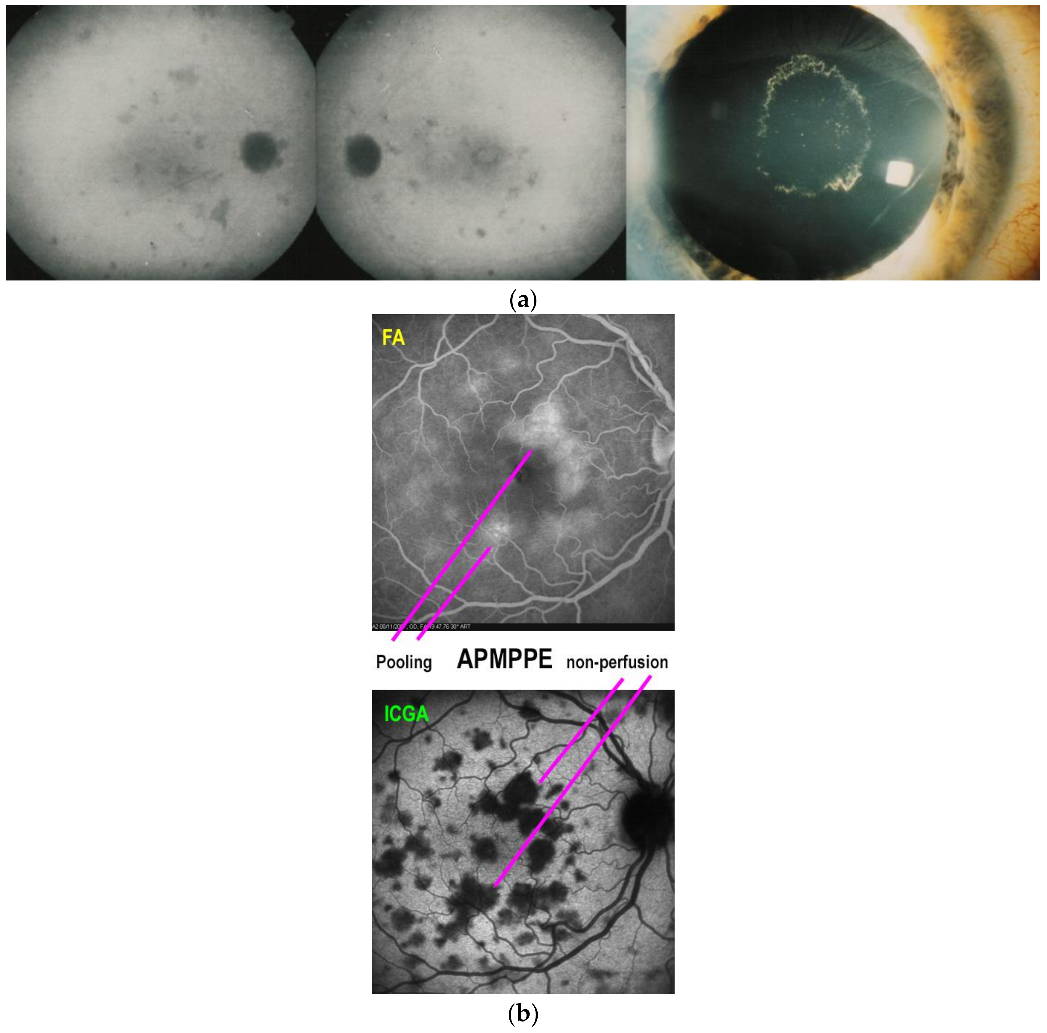 Medicina 58 00165 g009 550