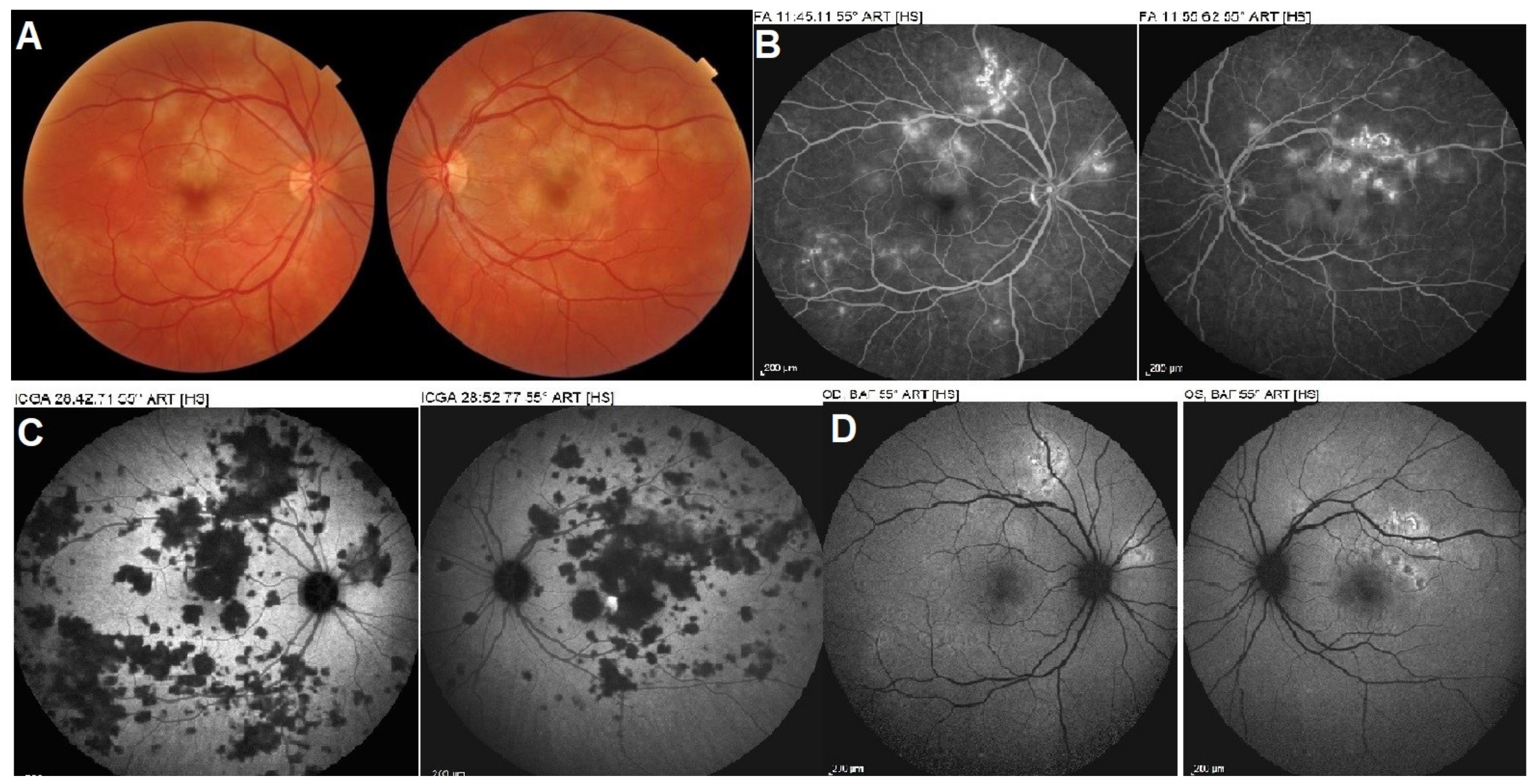 Medicina 58 00165 g011 550