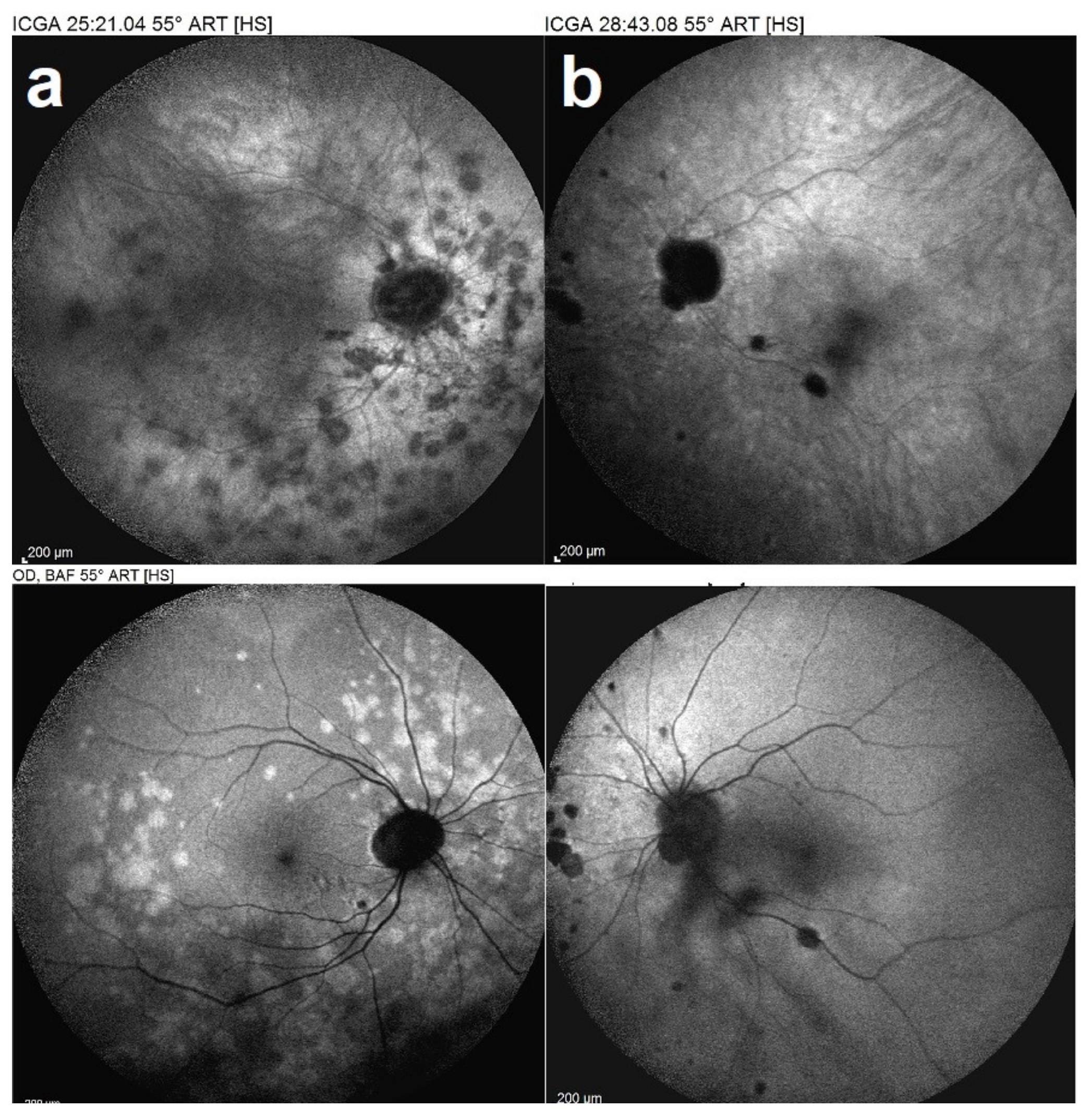 Medicina 58 00165 g013 550