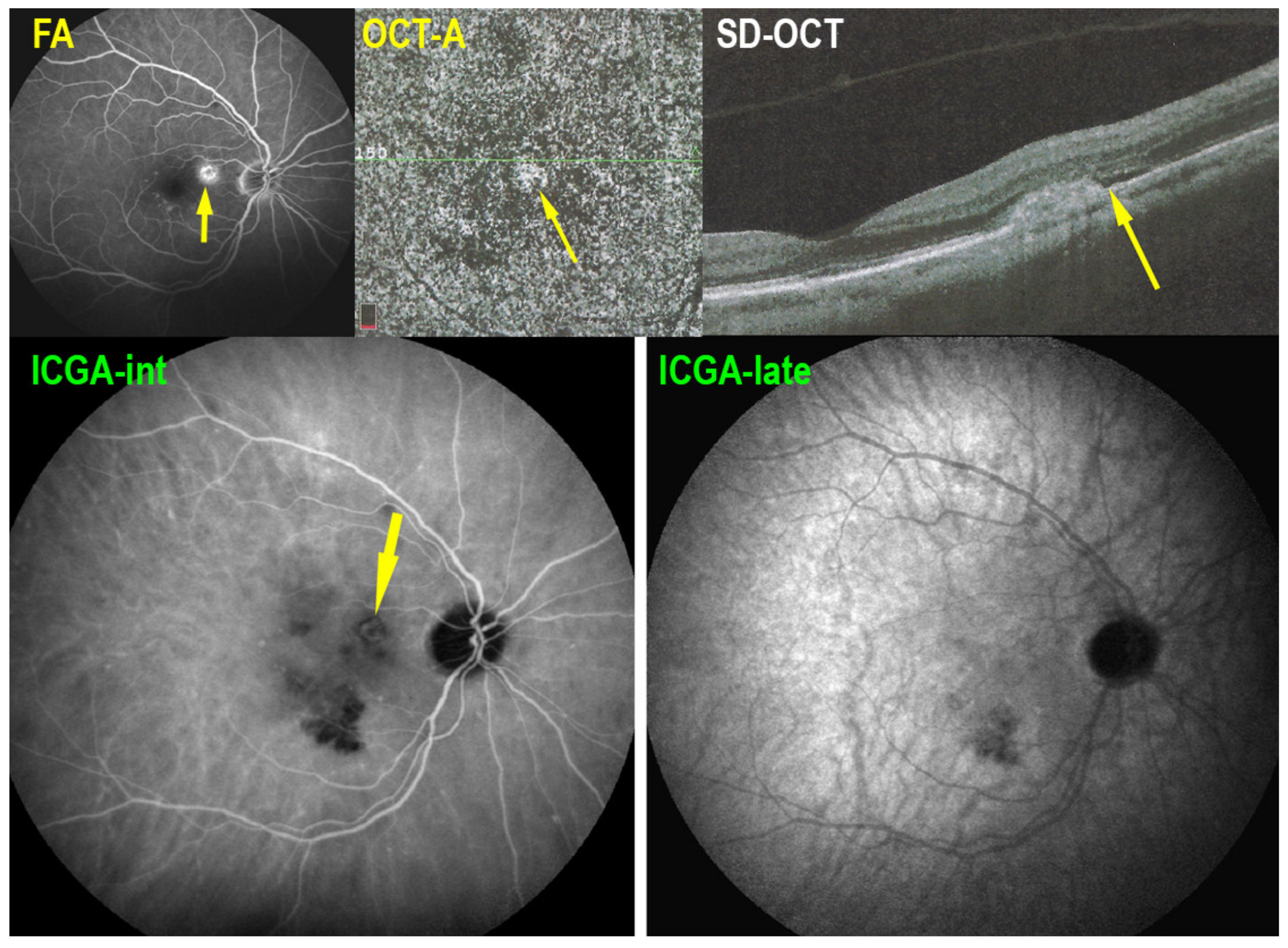 Medicina 58 00165 g018 550