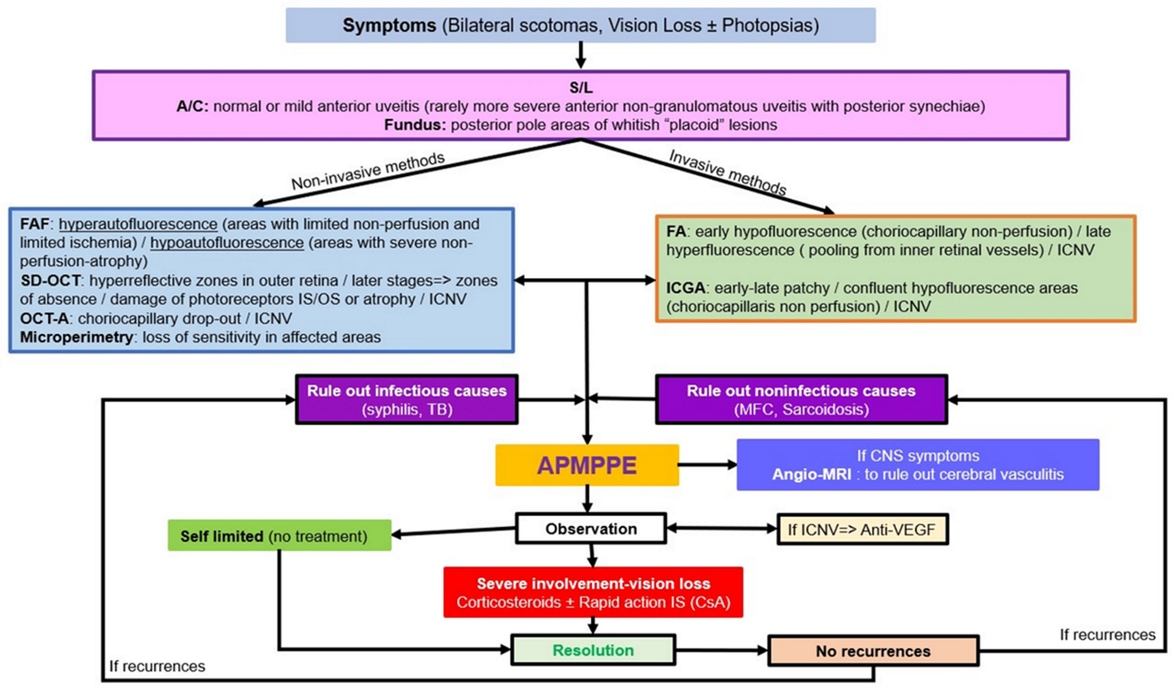 Medicina 58 00165 sch002 550