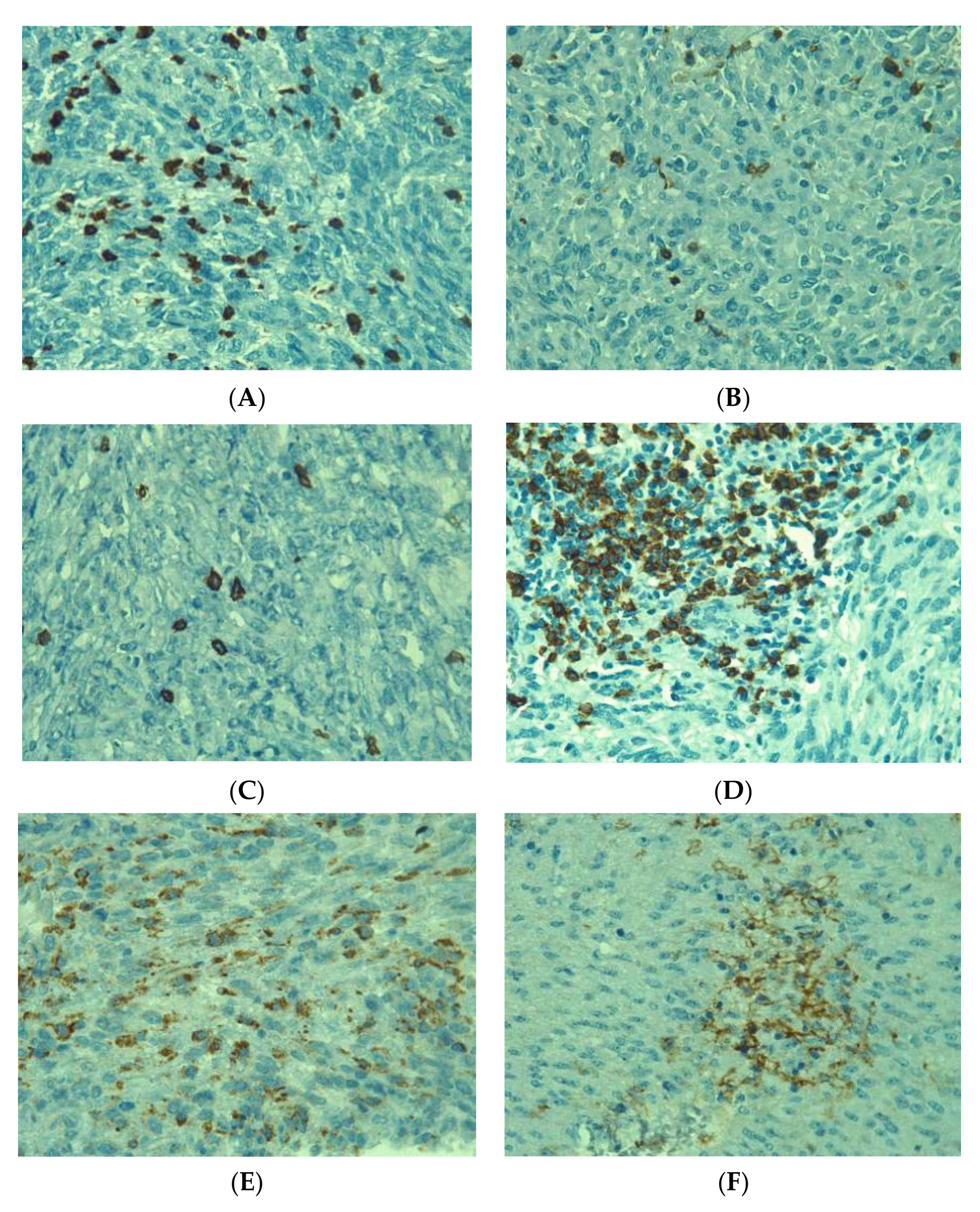 Medicina 58 00174 g004 Medicina 58 00174 g004