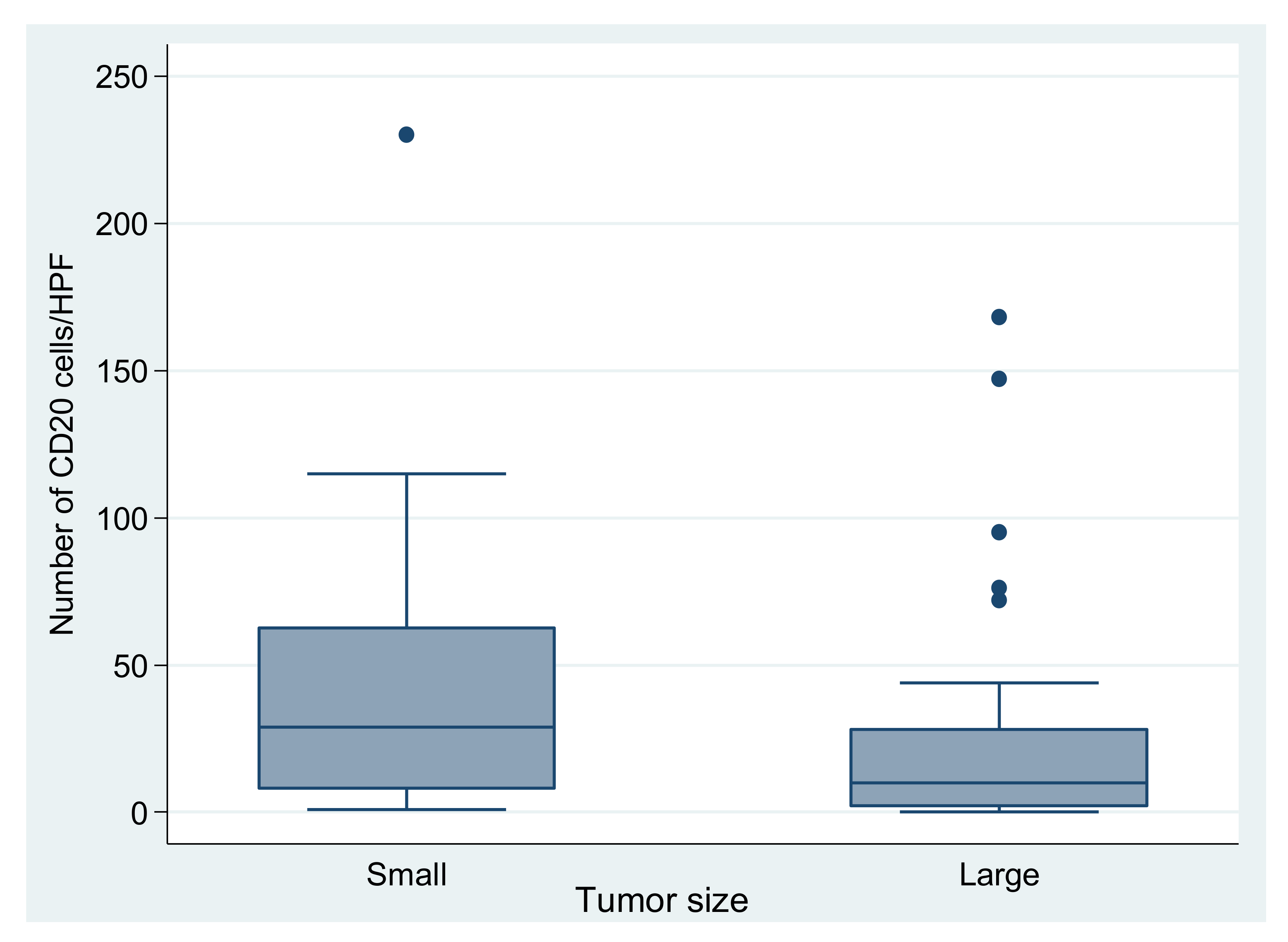 Medicina 58 00174 g005 Medicina 58 00174 g005