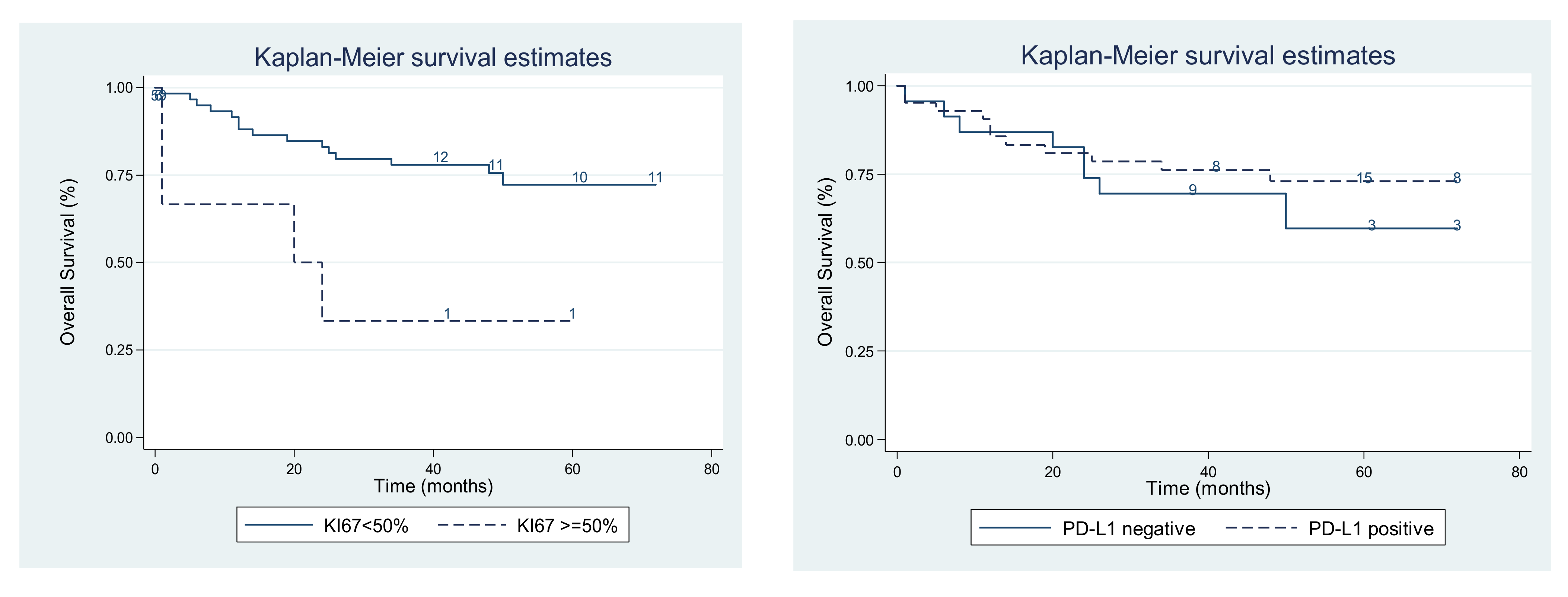 Medicina 58 00174 g006 Medicina 58 00174 g006