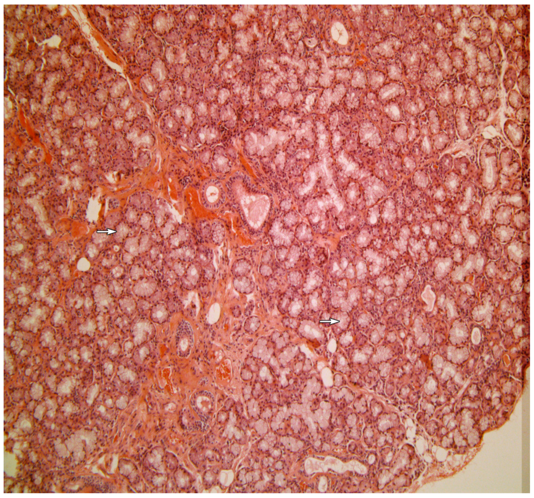 Medicina 58 00175 g001 550