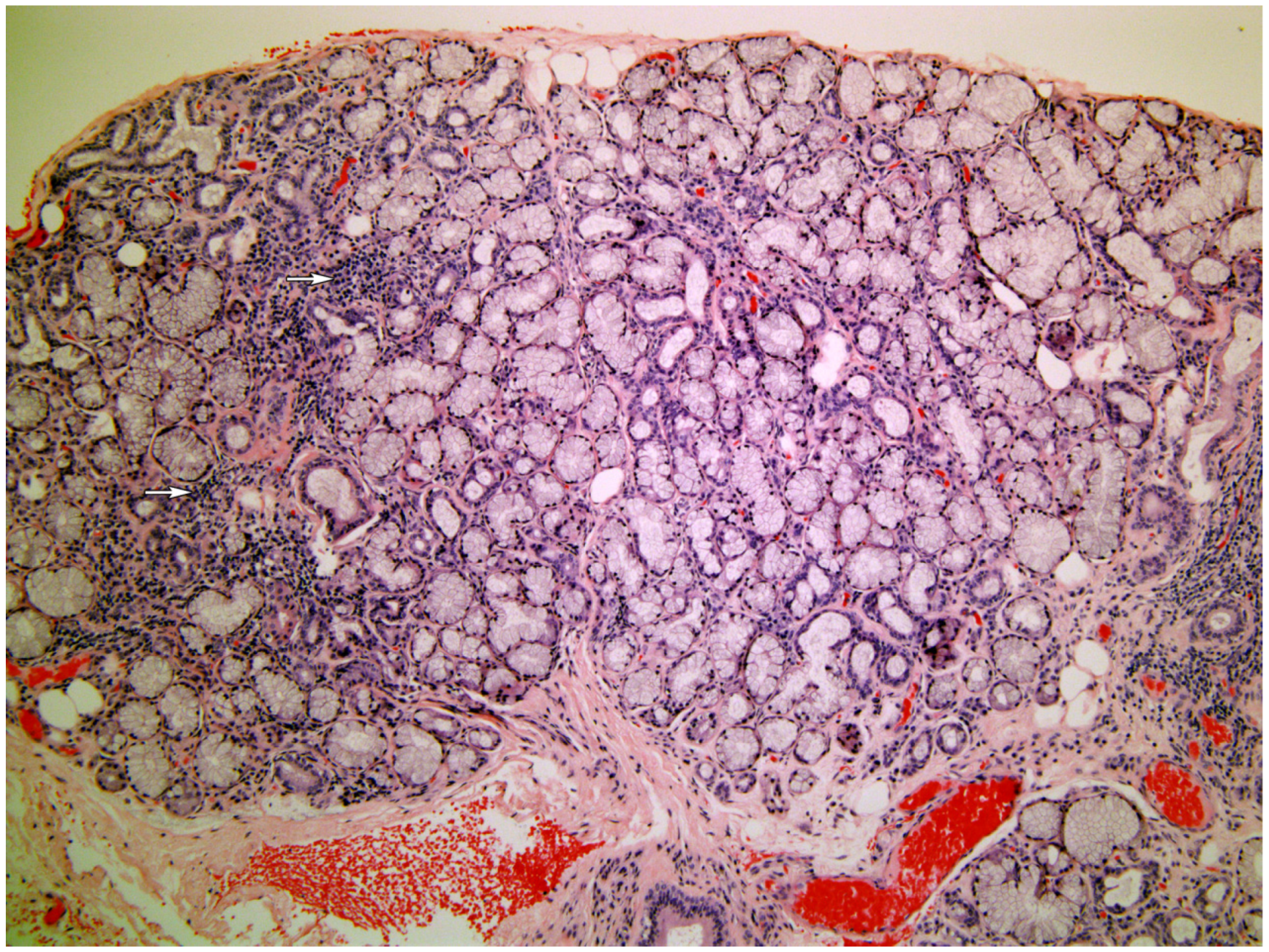 Medicina 58 00175 g002 550